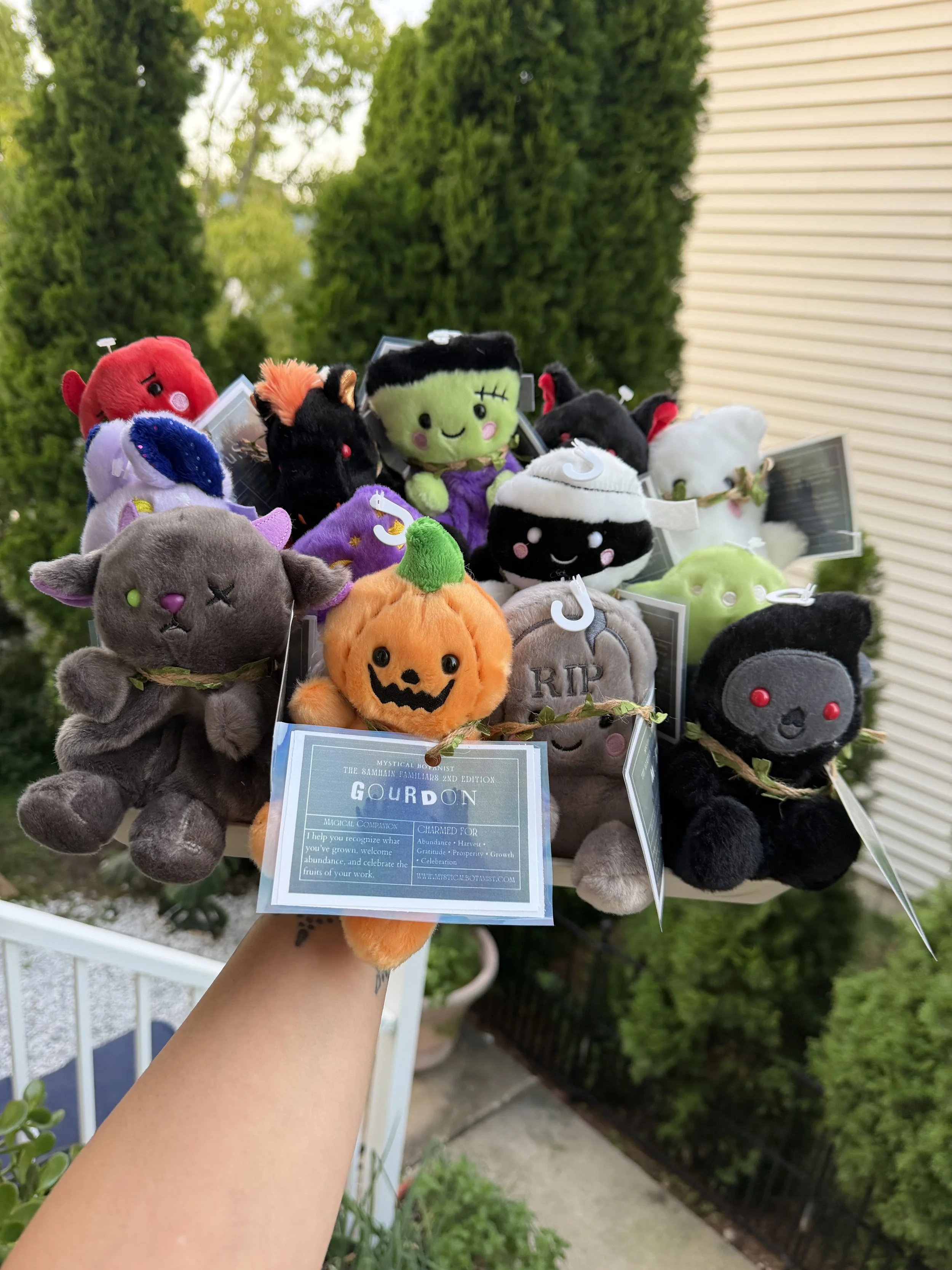 The Samhain Familiars 2nd Edition
