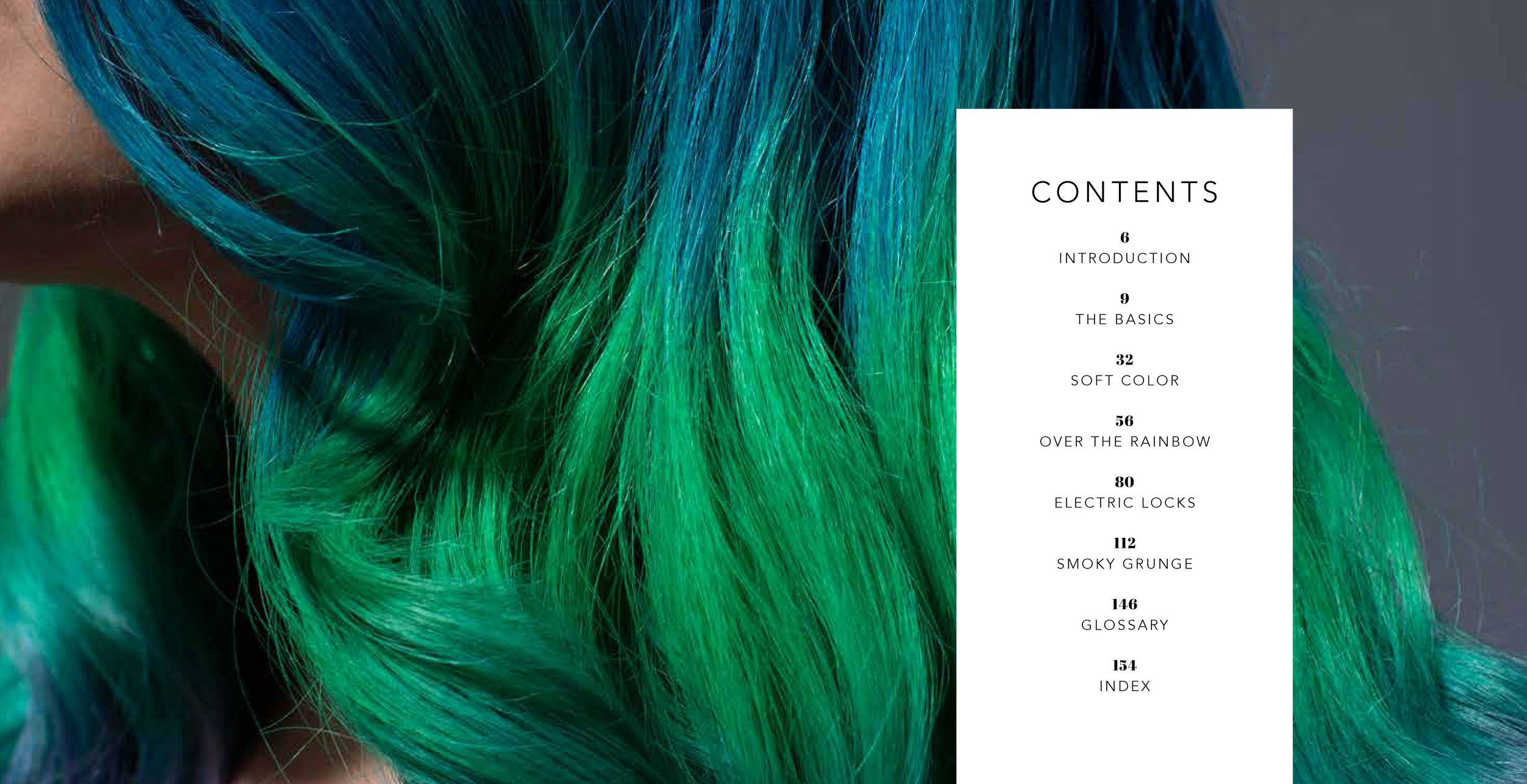 HairToDyeFor_InteriorPgs_001-053-3.jpg