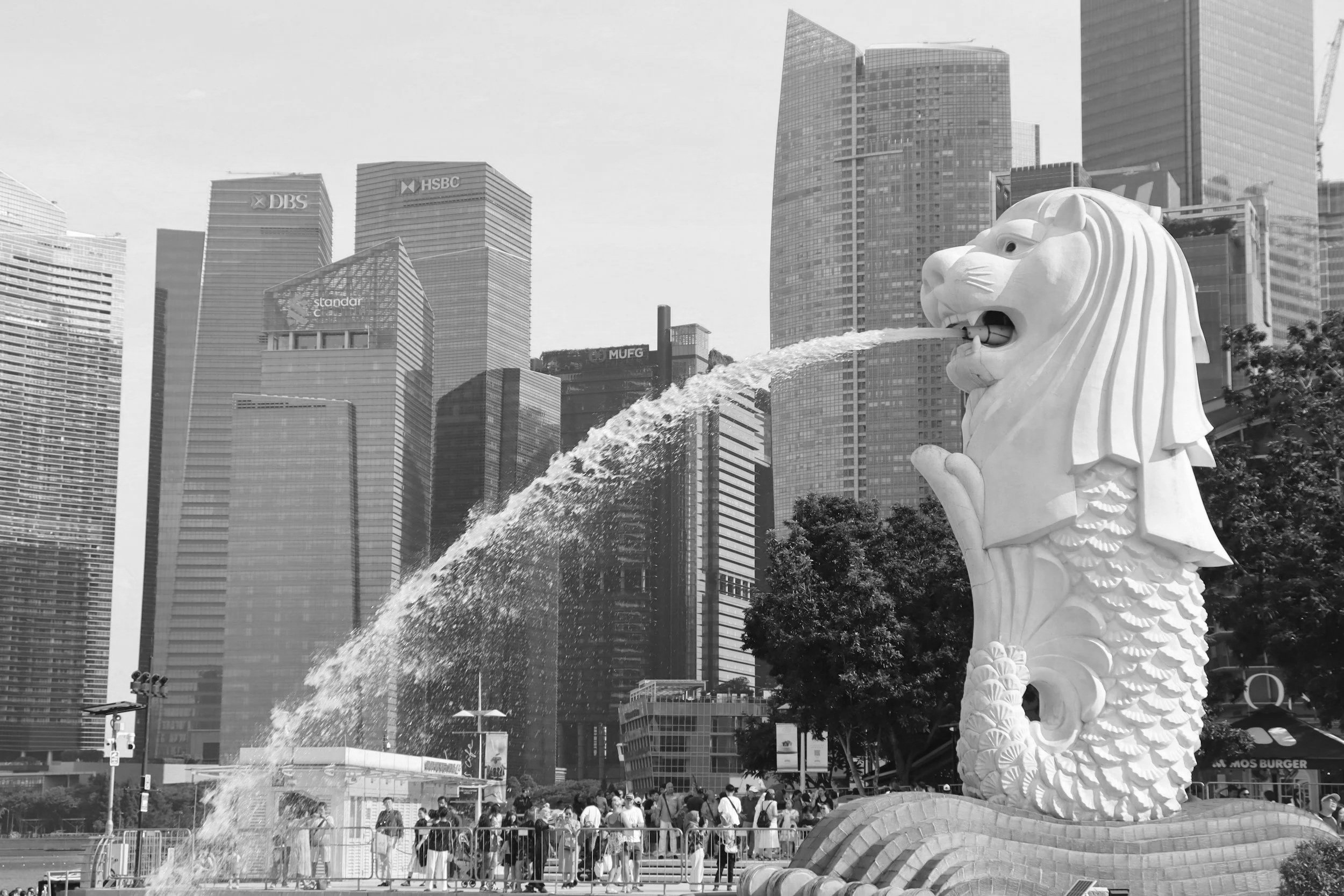 The Merlion statue in Singapore spouting water in front of skyscrapers in a busy city area.