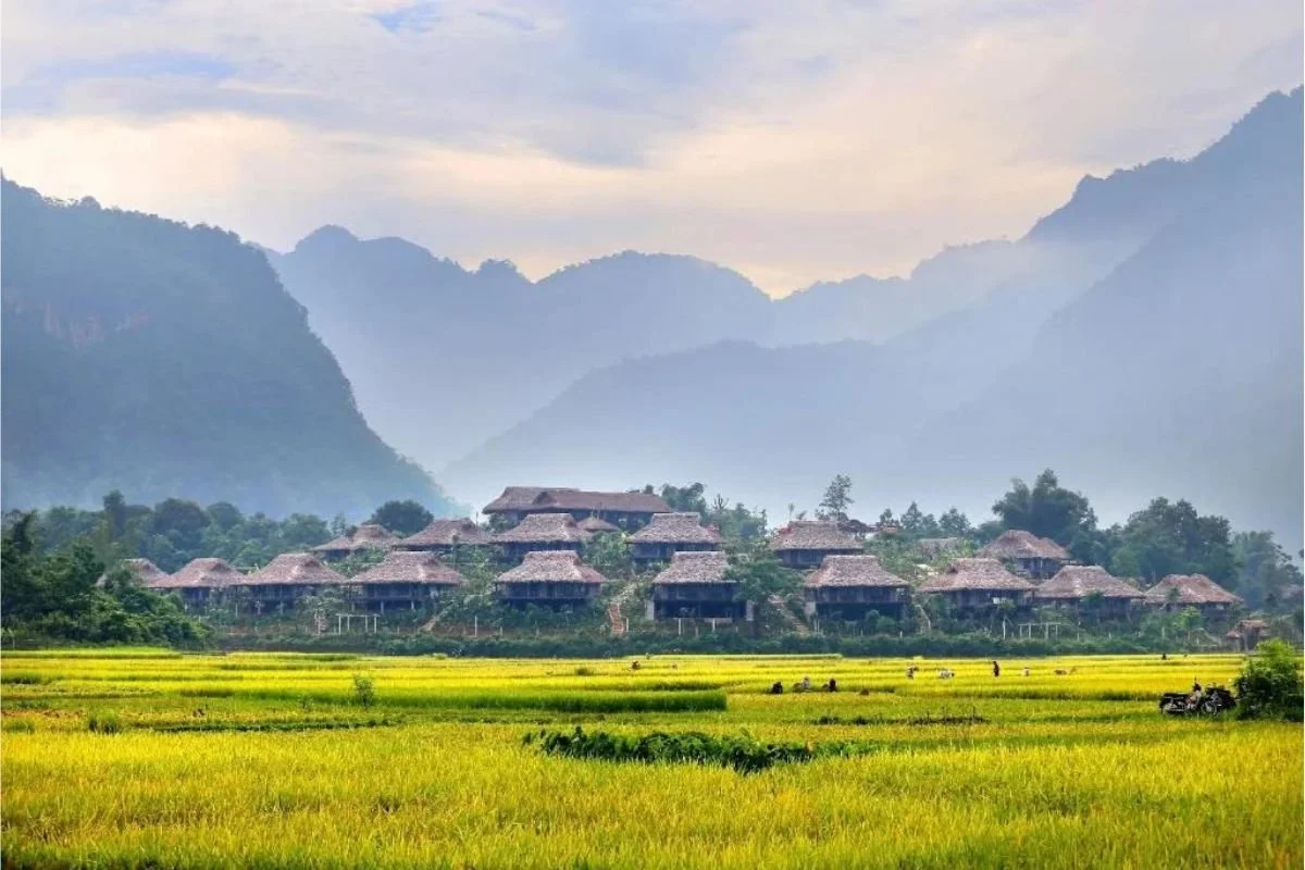 Mai Chau.jpg