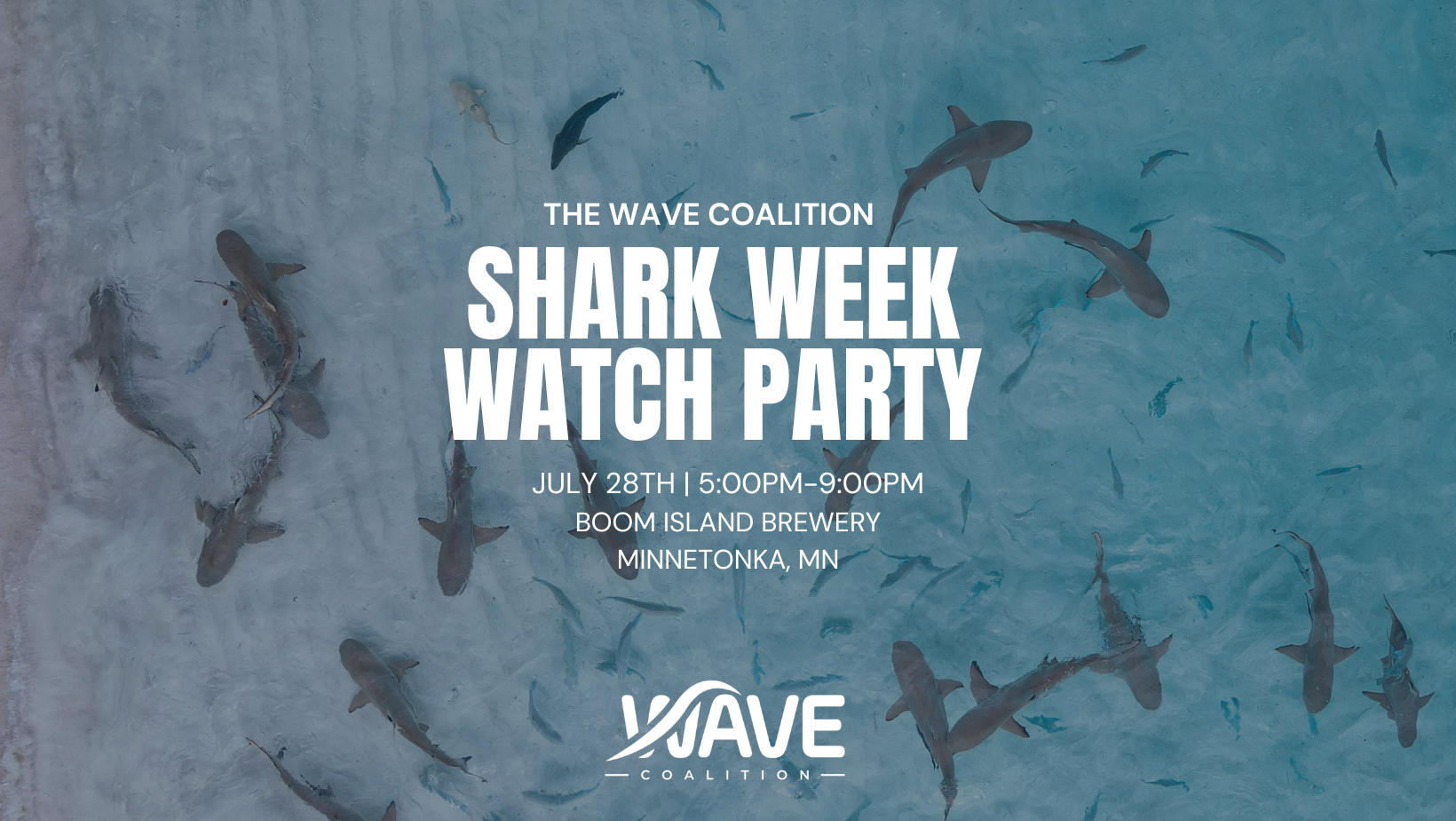 Shark Week Watch Party