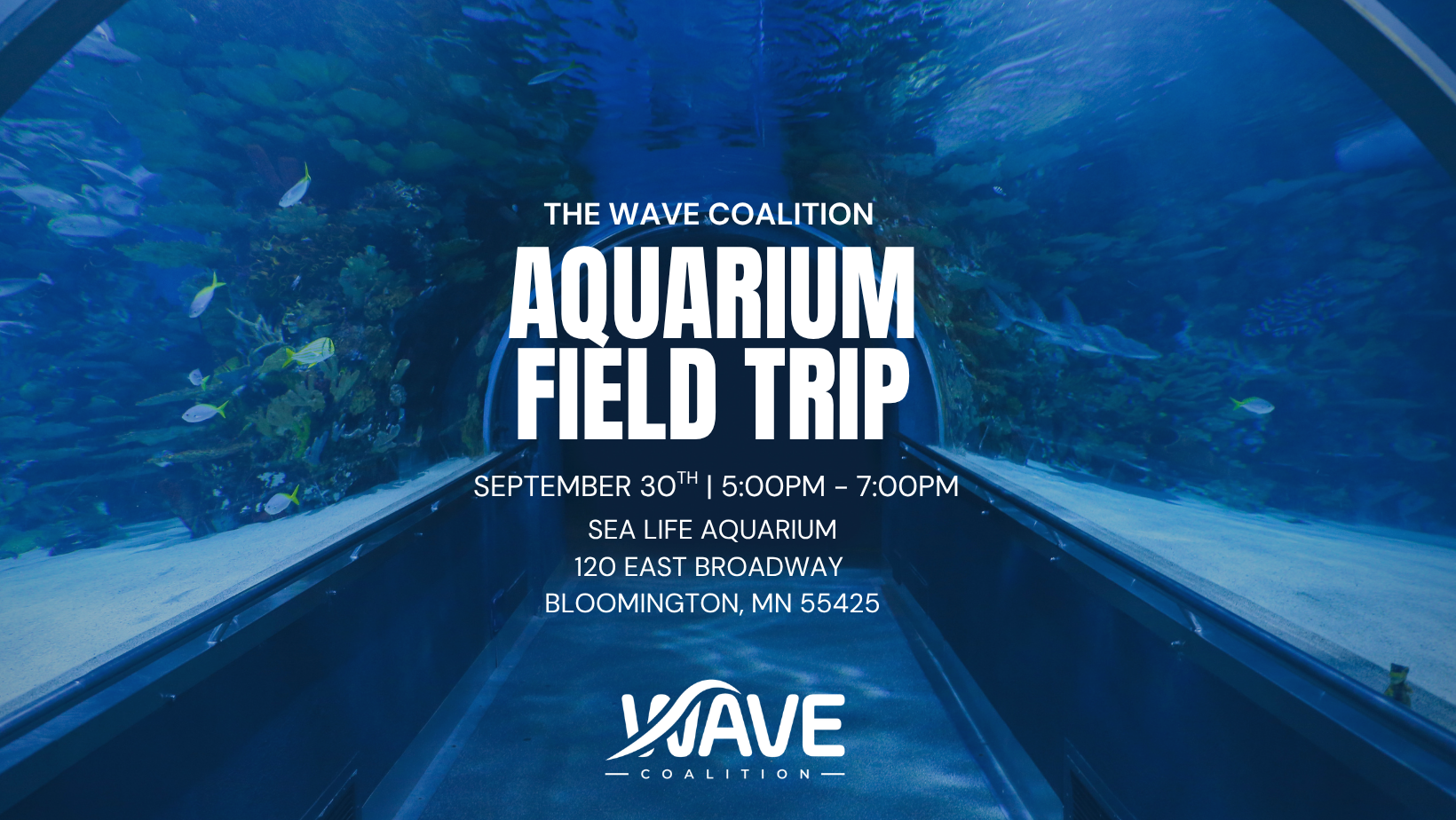 Aquarium Field Trip