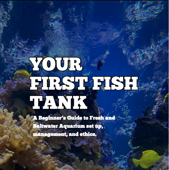 Screenshot 2026-03-09 at 12.25.58 PM.png