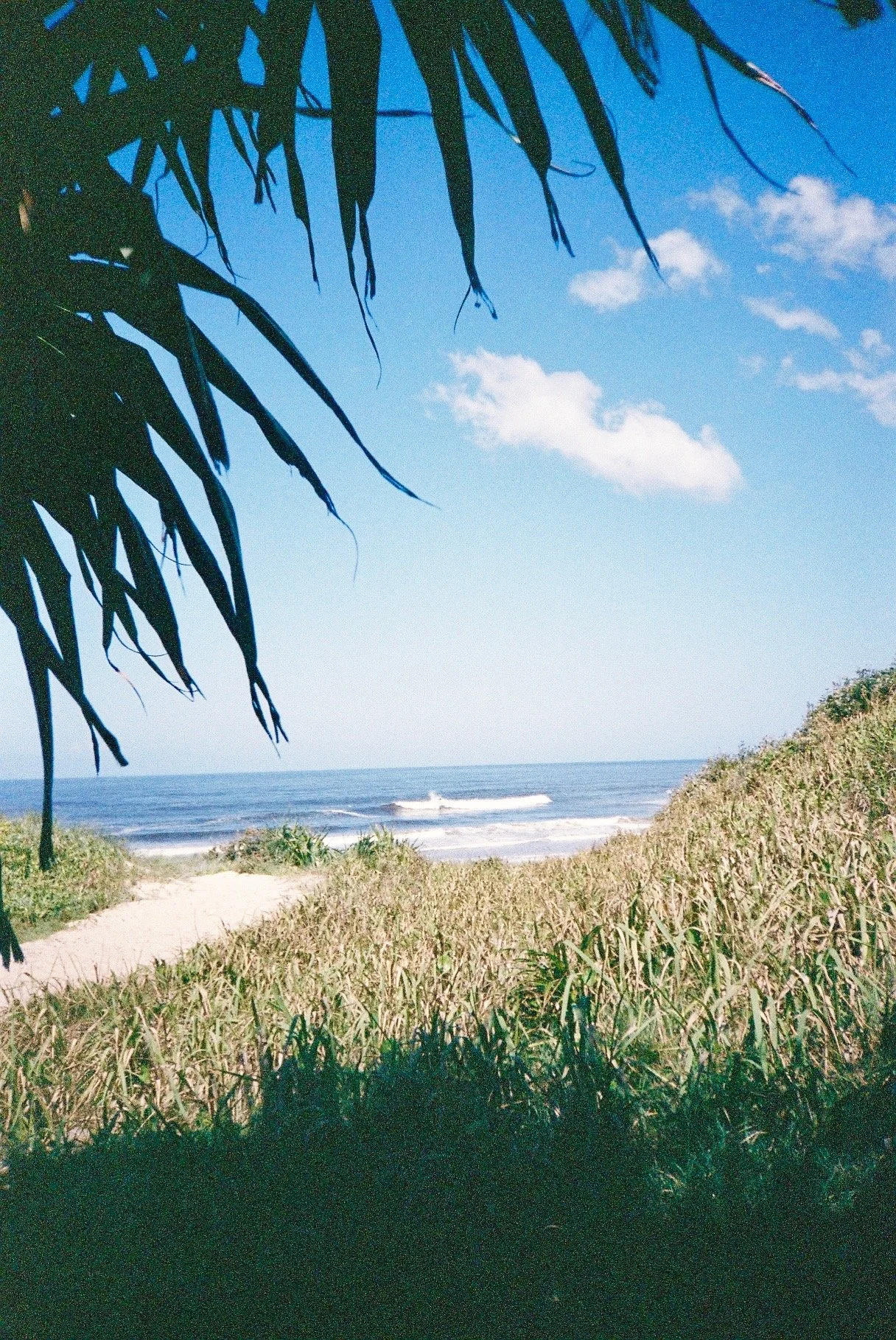 A061697-R1-20-21.jpeg