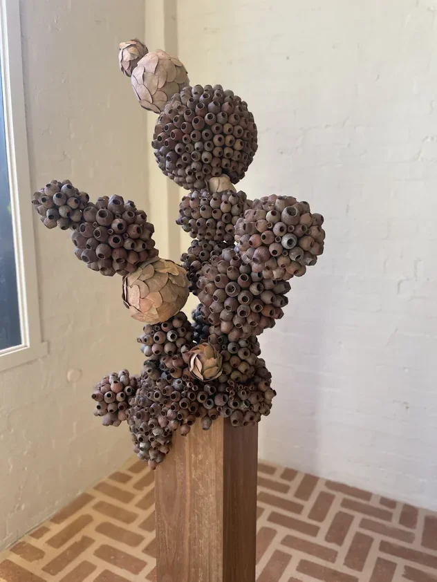 Appliances - Fisher &amp; Paykel Experience Centre