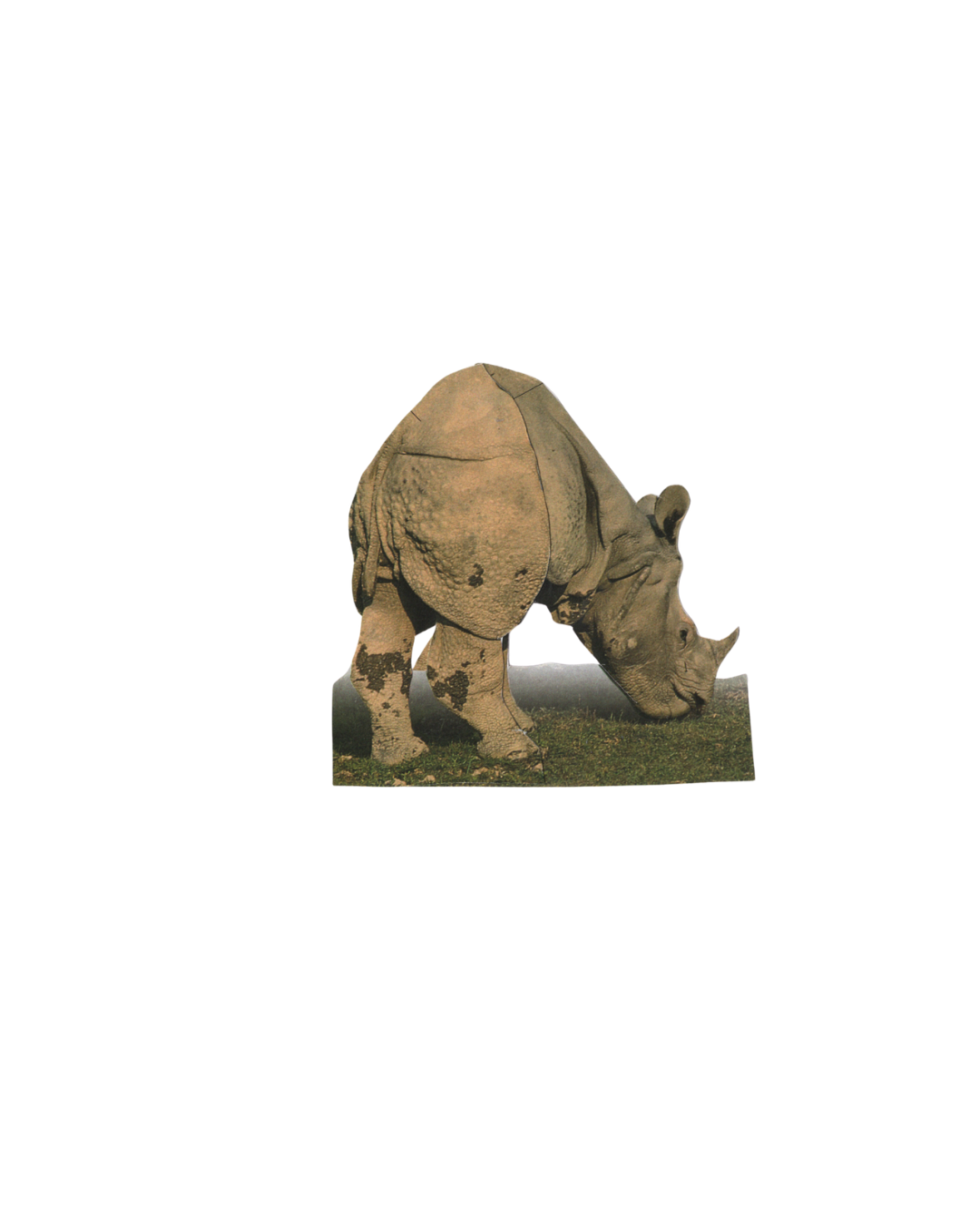 2346.png