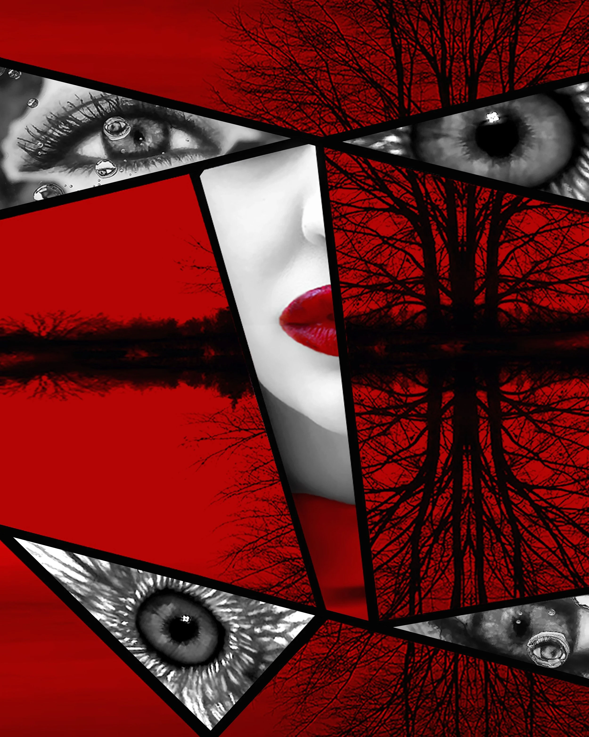 Fragmented_Stares_Elizabeth_Hoverman.jpg
