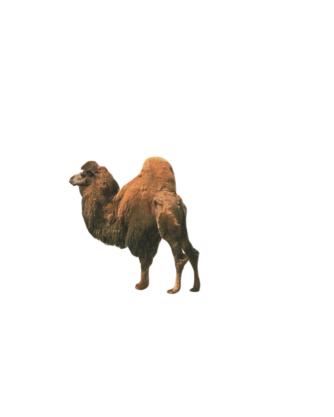 2348.png