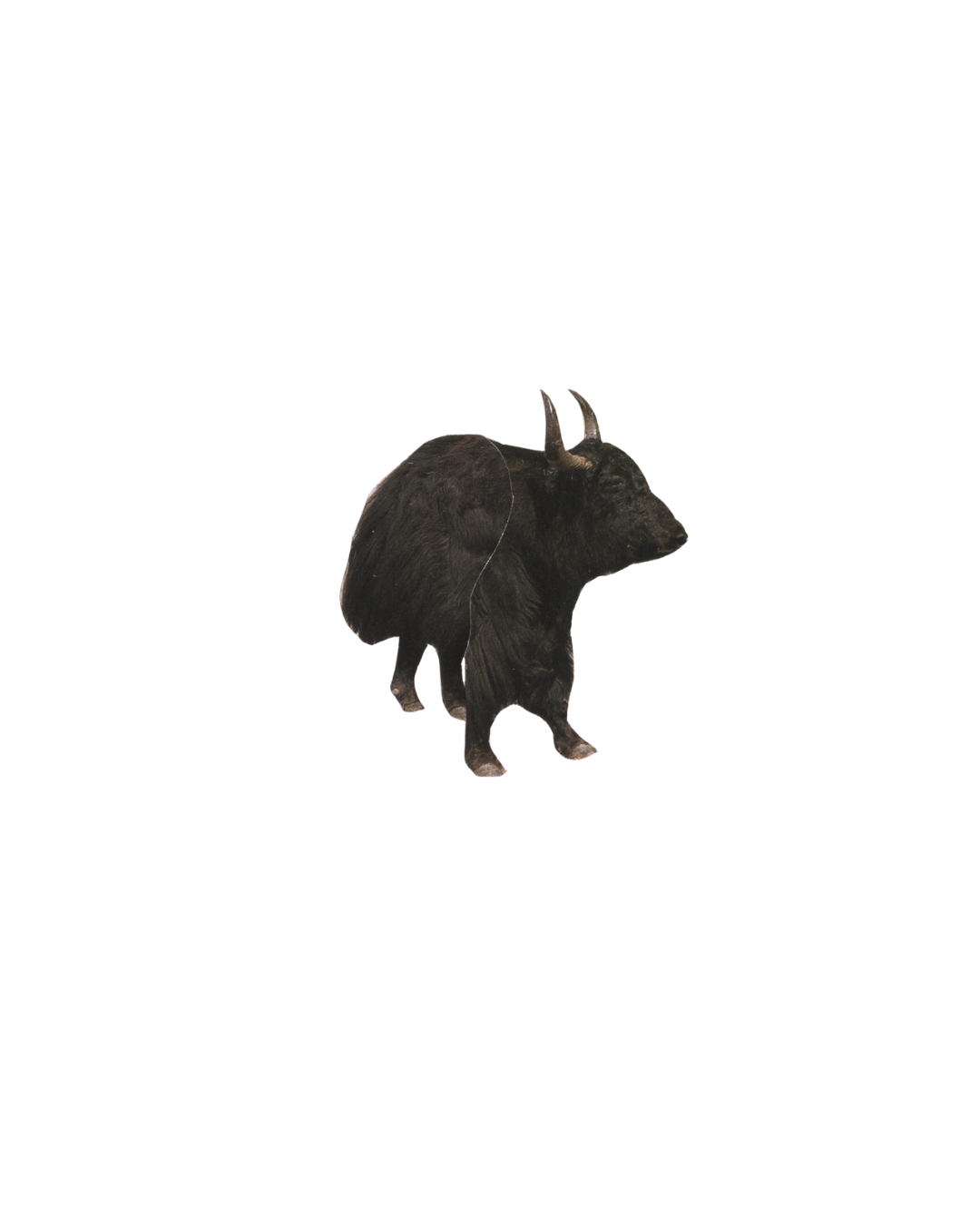 2341.png