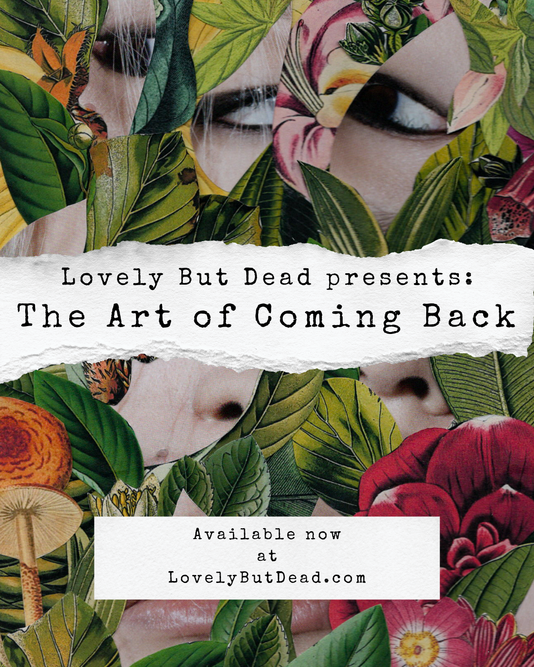 Things We Dare Not Tell Basic.png