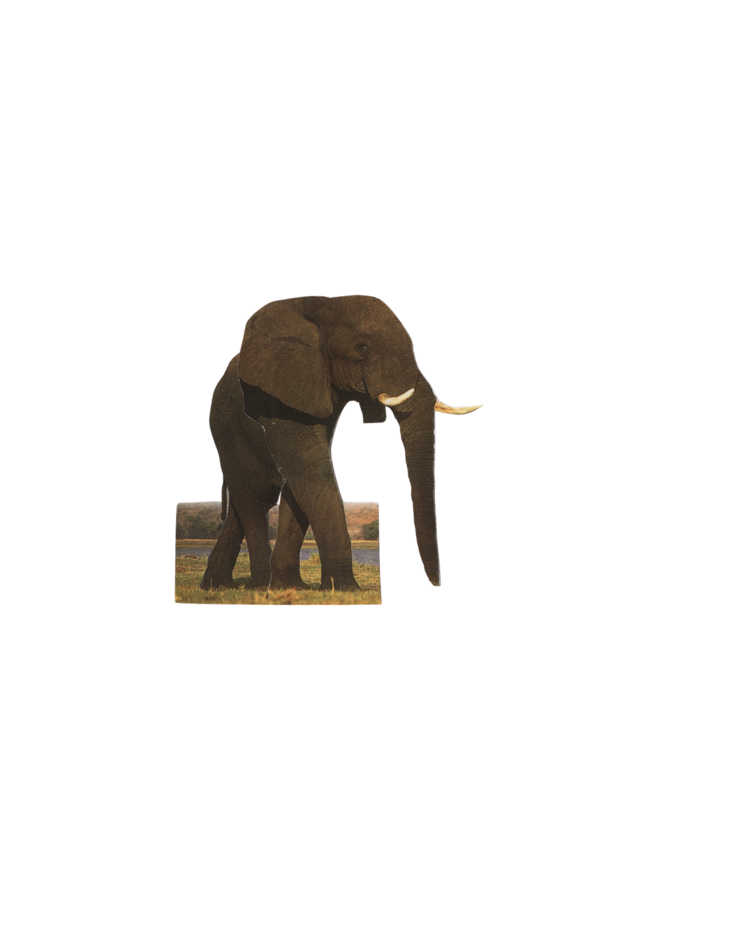 2349.png
