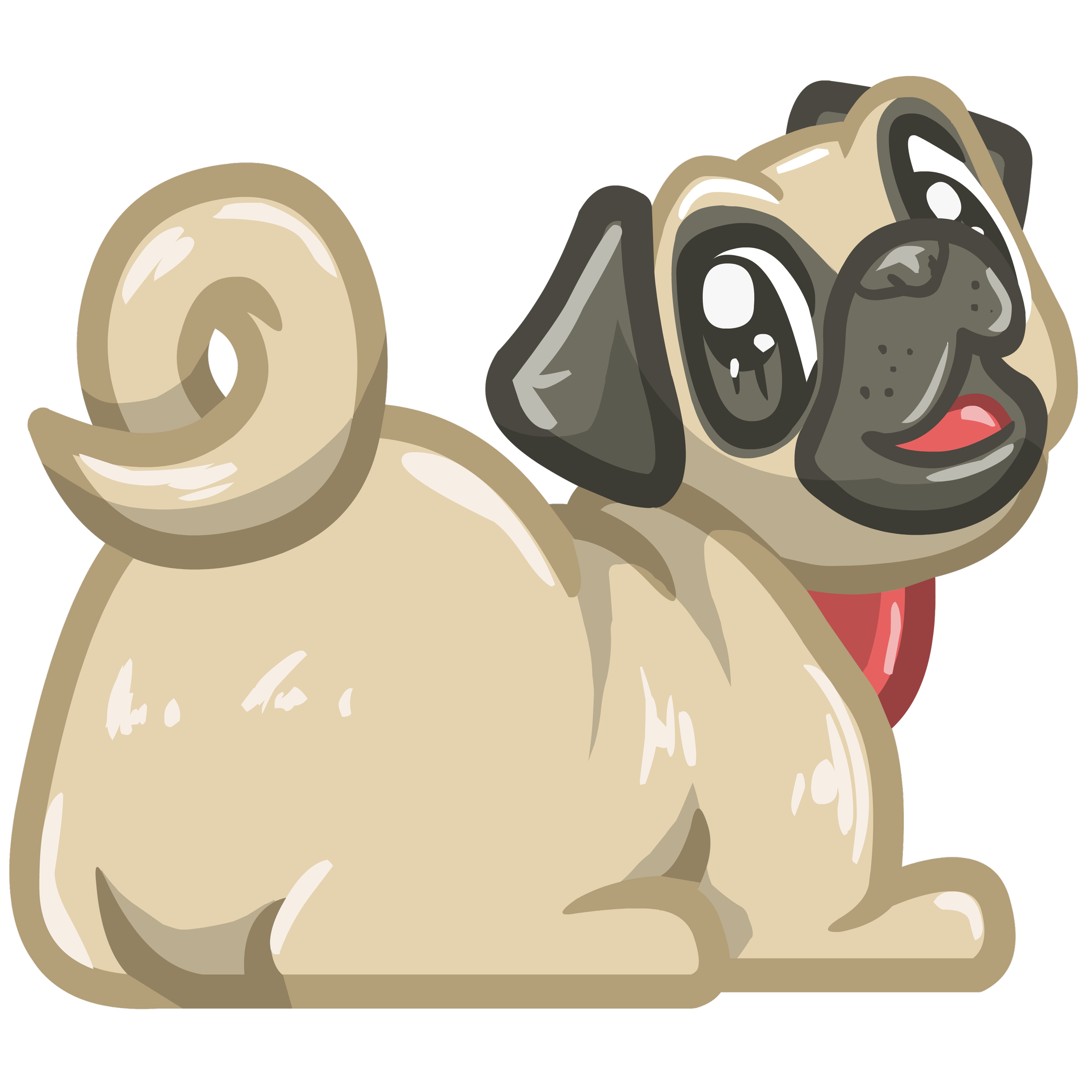 pug.png