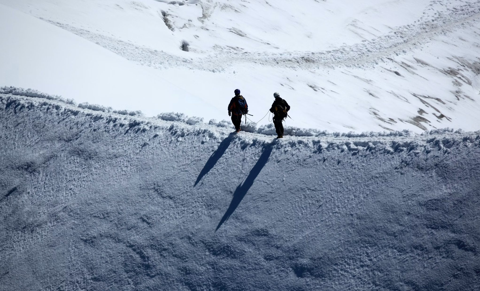 I’ve Always Supported You