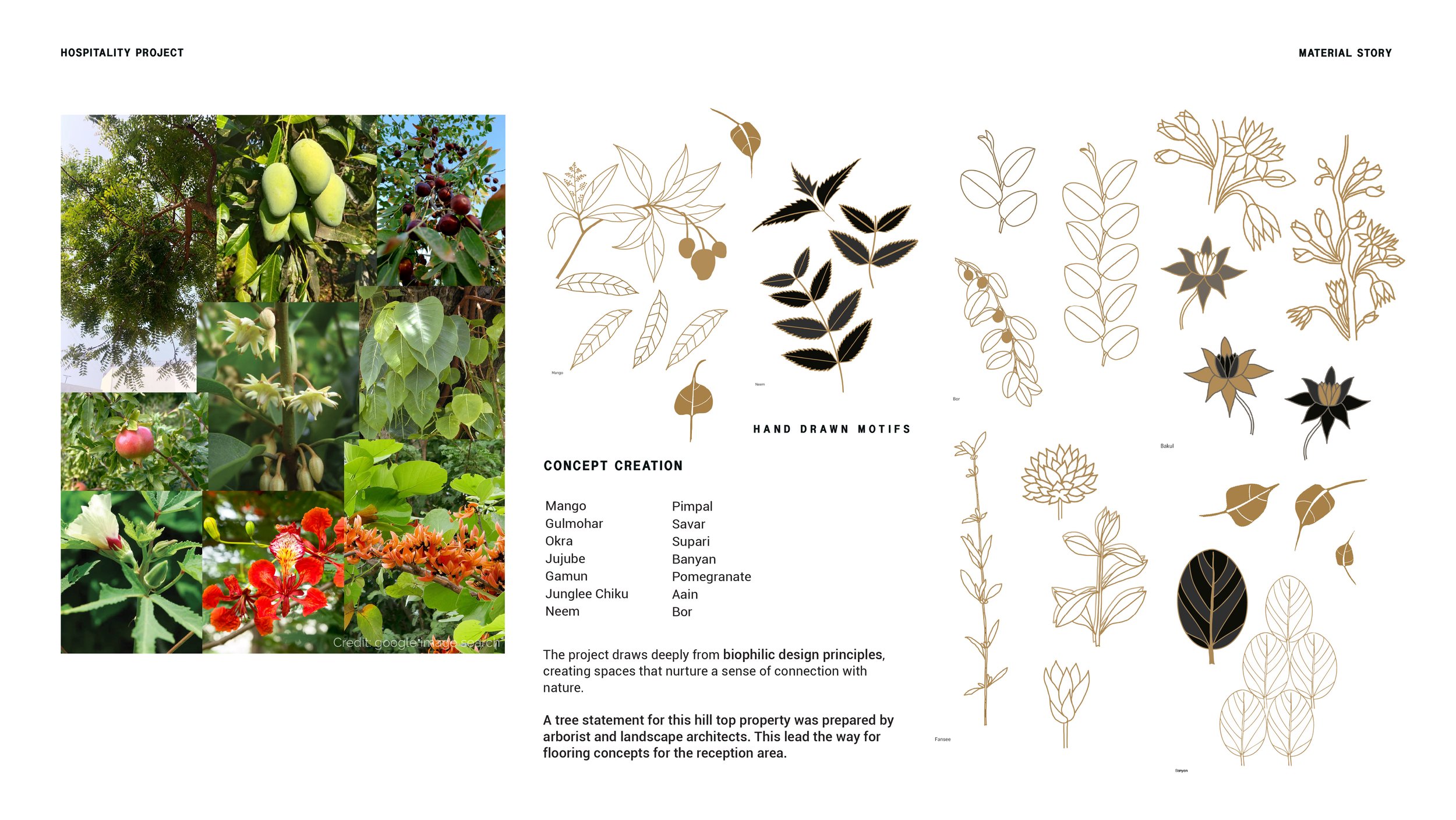 Tree Statement of the land, inspired us to follow the biophilic design principles, drawing the indigenous flora and fauna.   