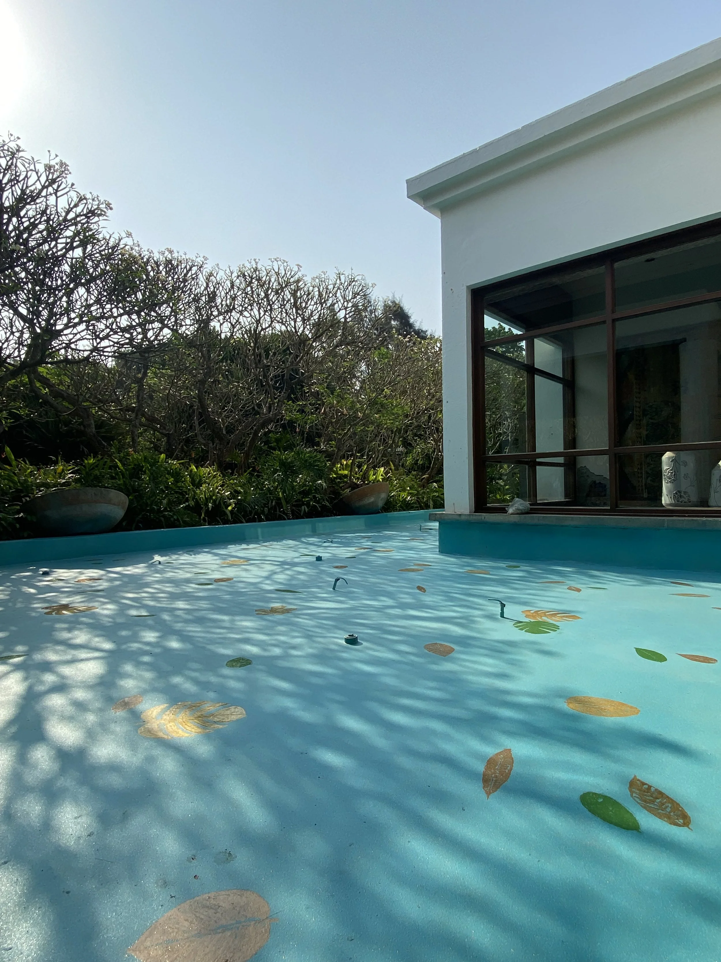 An image of The Float House