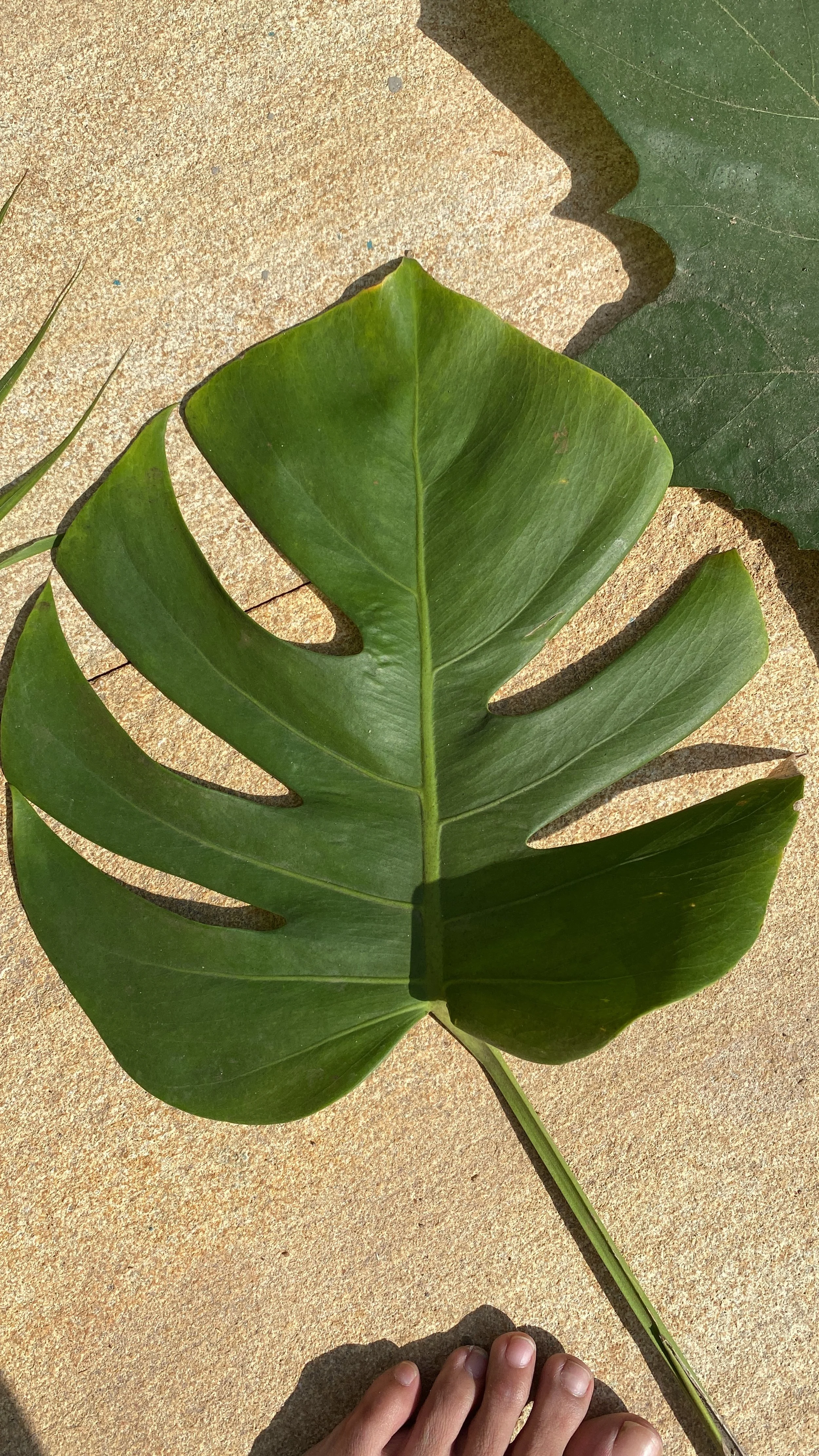 2D5509A0-67E3-4EBA-8327-4F5C2485E8E6 2.JPG