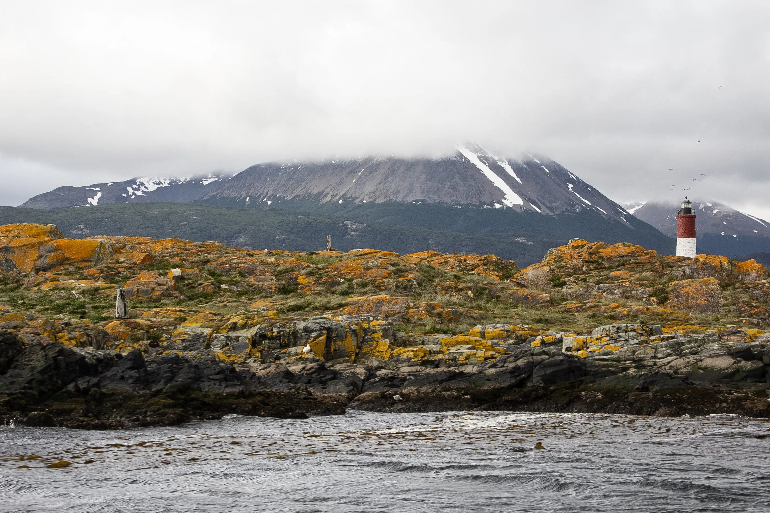 Ushuaia_Wildlife Cruise_-7.jpg