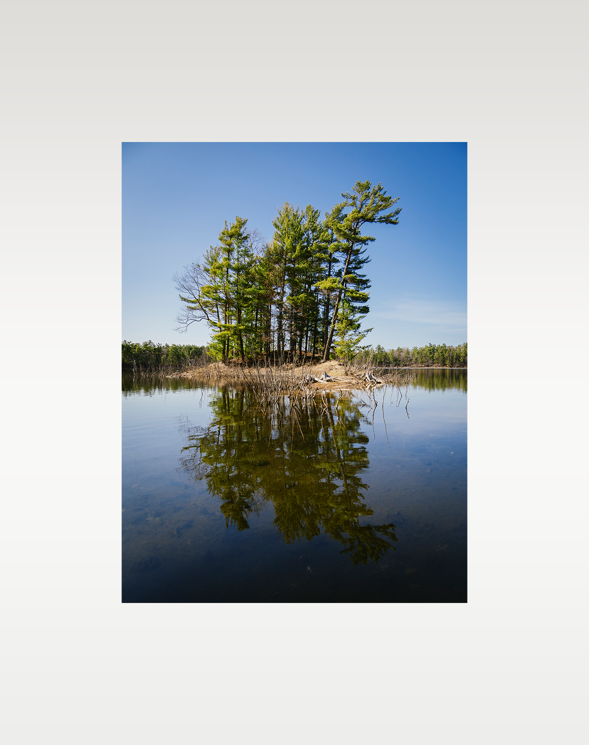 framed print no matte_PS.png