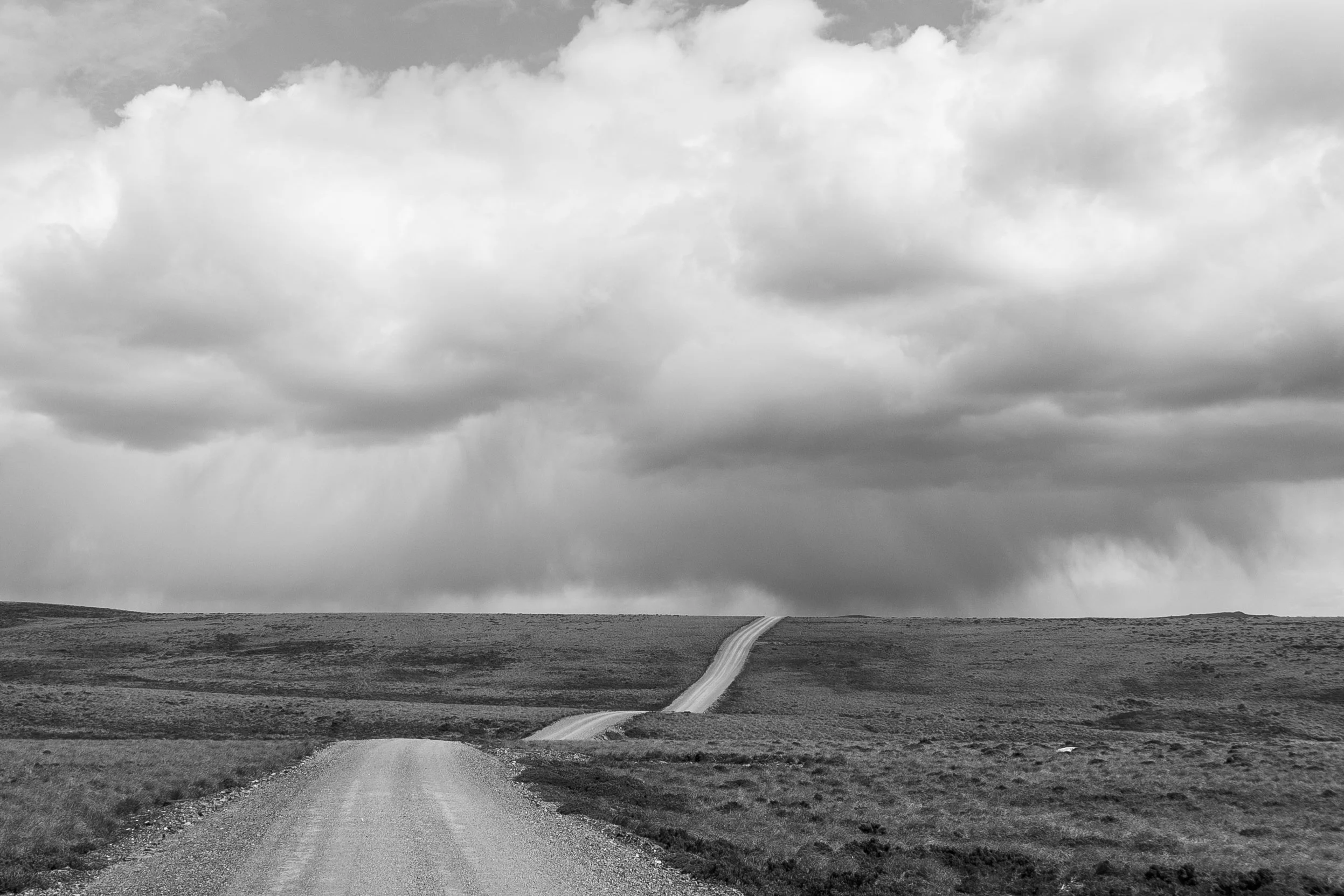 Stanley_North Pond Penguins_-11.jpeg