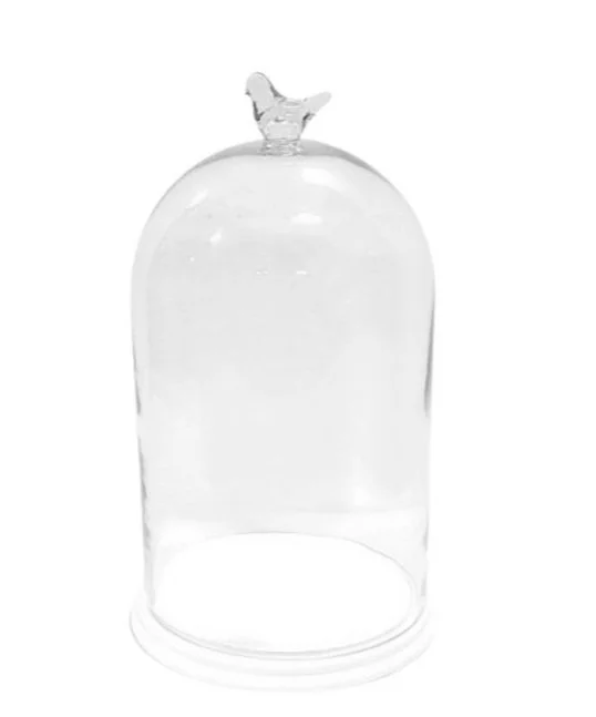 Glass Bird Cloche | White Bottom