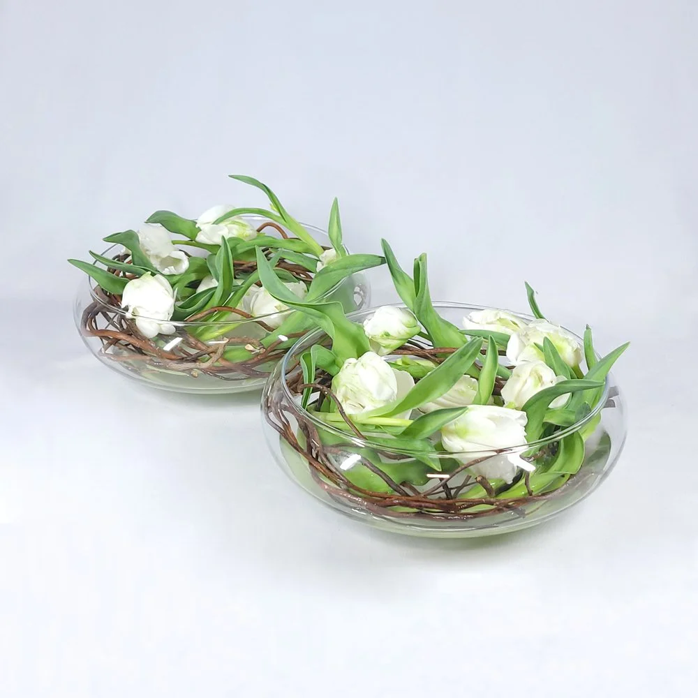 10" Low Glass Ming Bowl Terrarium