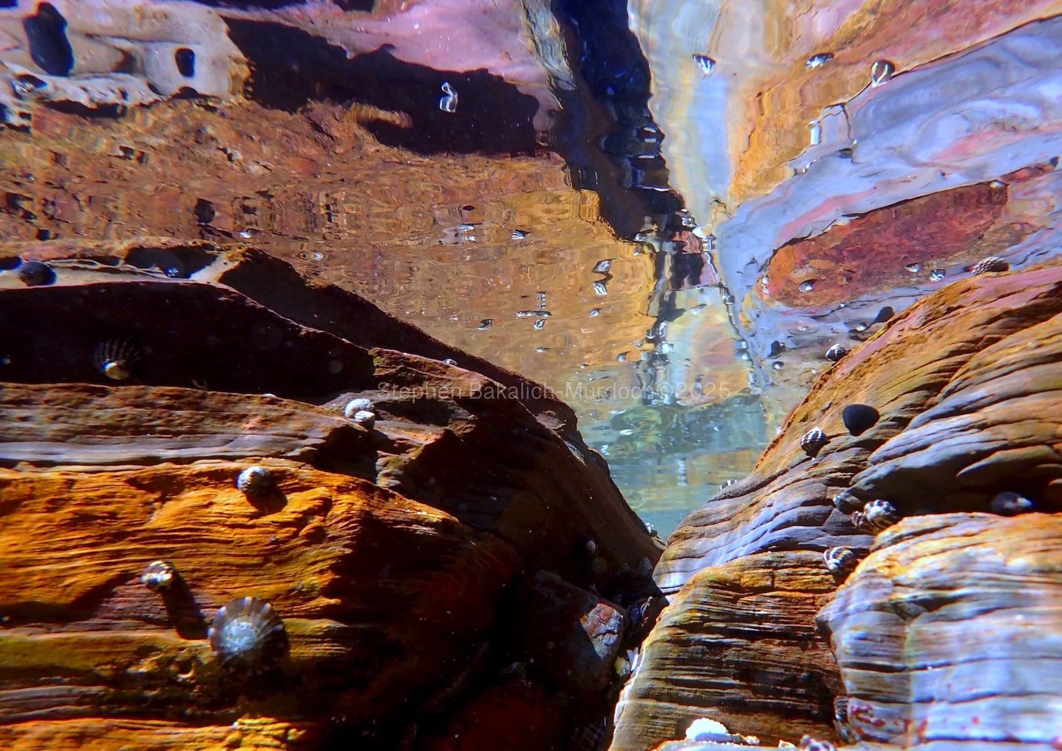 Pastel Canyon.jpg