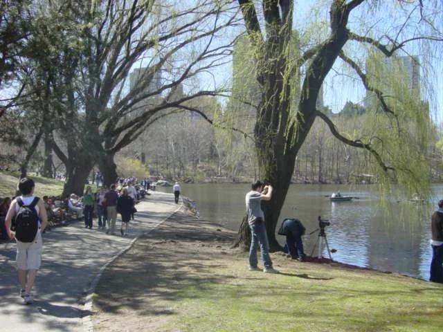 Central Park.JPG