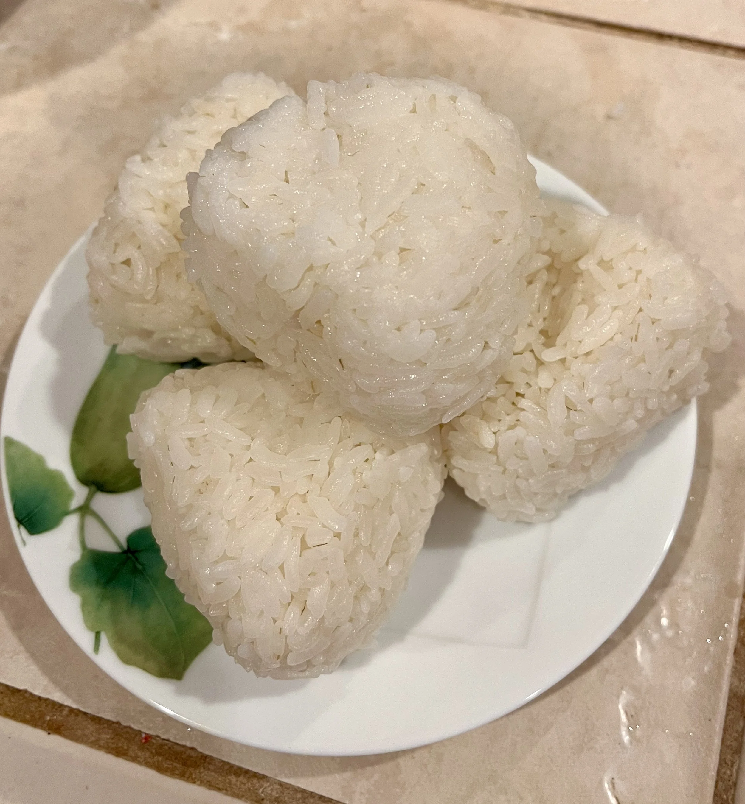Our Lunch On The Go: Japanese Onigiri