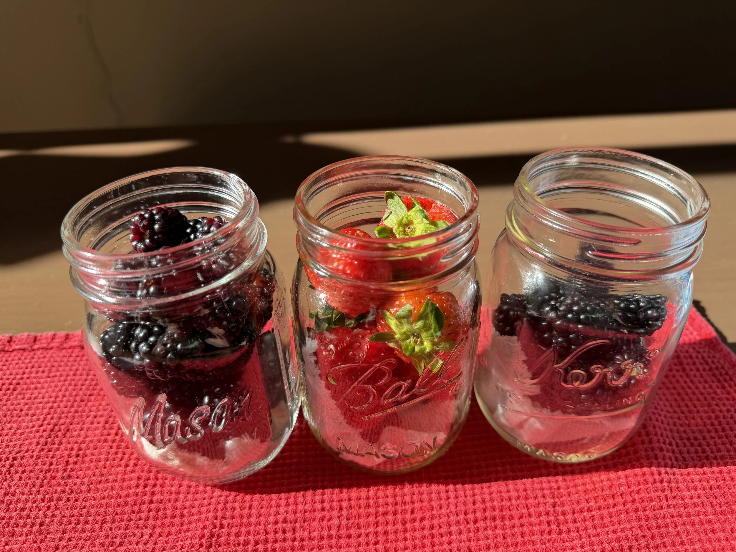 Washing Berries with Vinegar