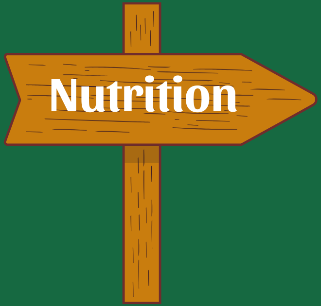 Healthy nutrition and family meal tips