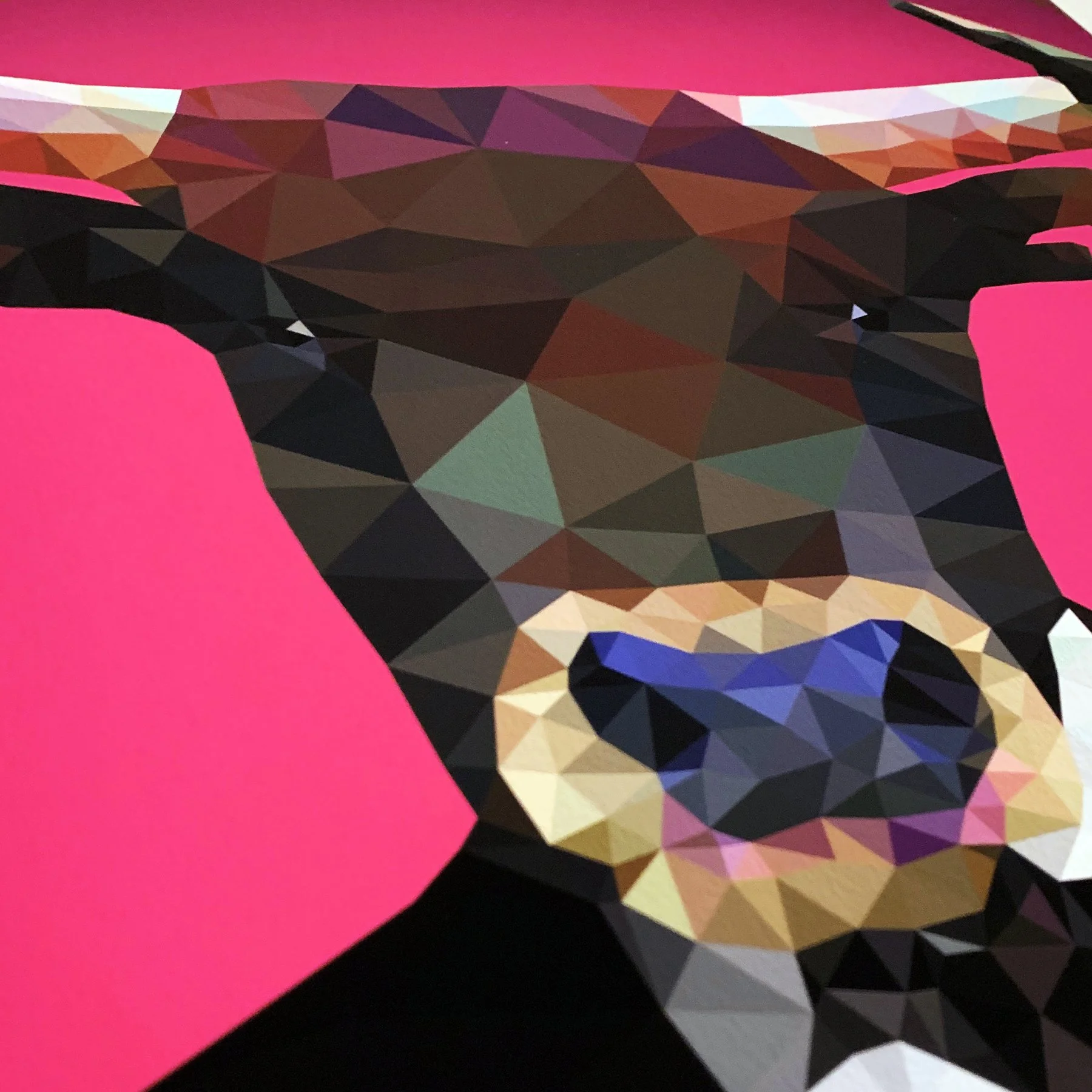 Angie_Jones_JunkedUp_FramedArt_LtdEdition_Detail.jpg
