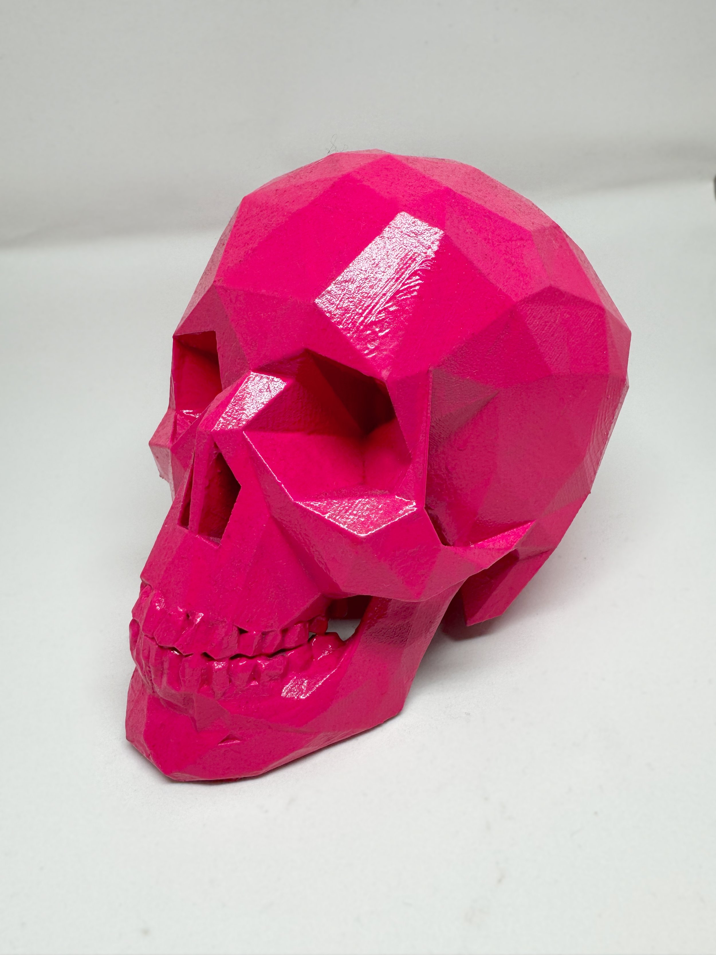 Pink_AfterLifeSkull_05.jpg