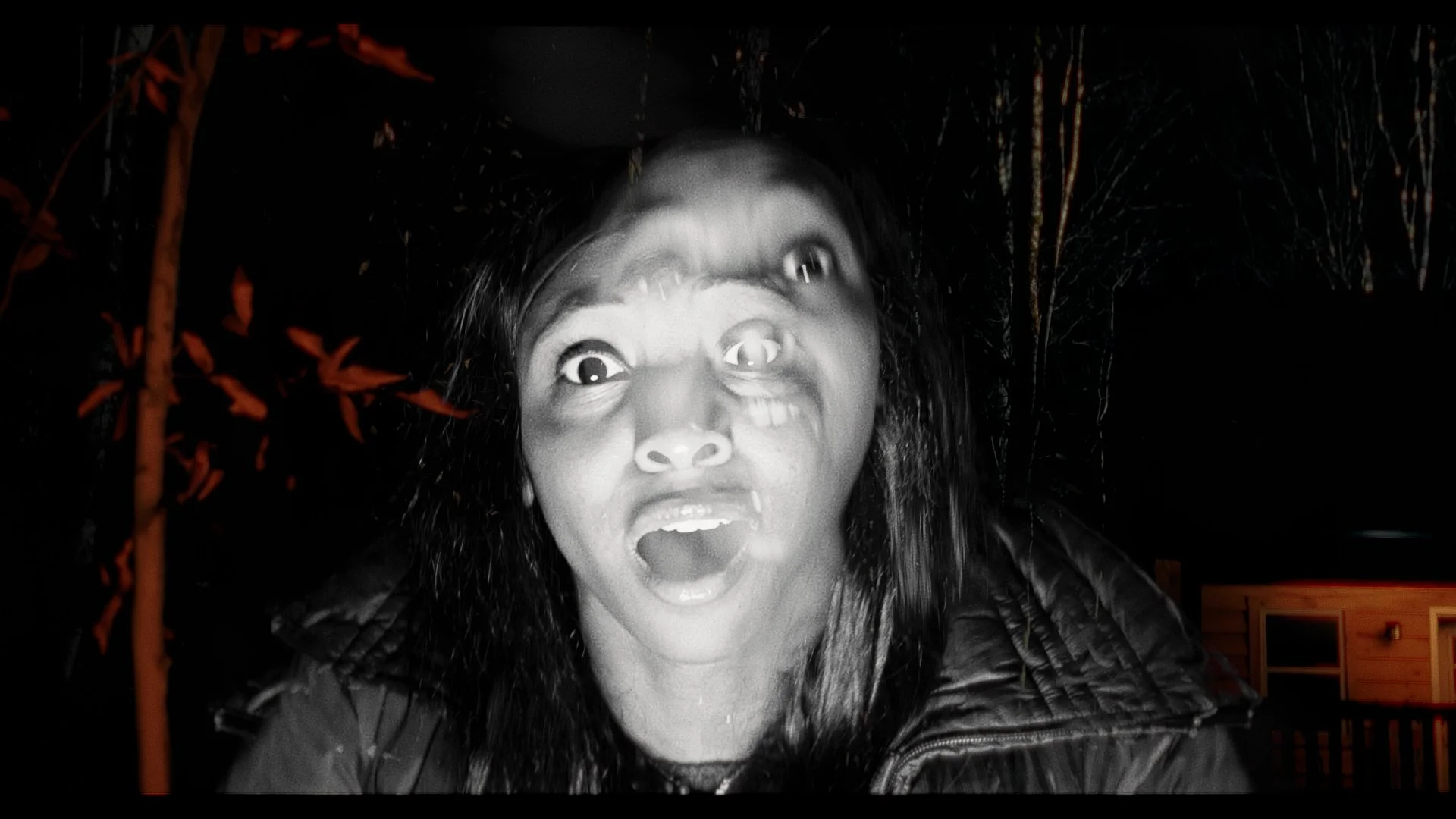 Still15.jpg