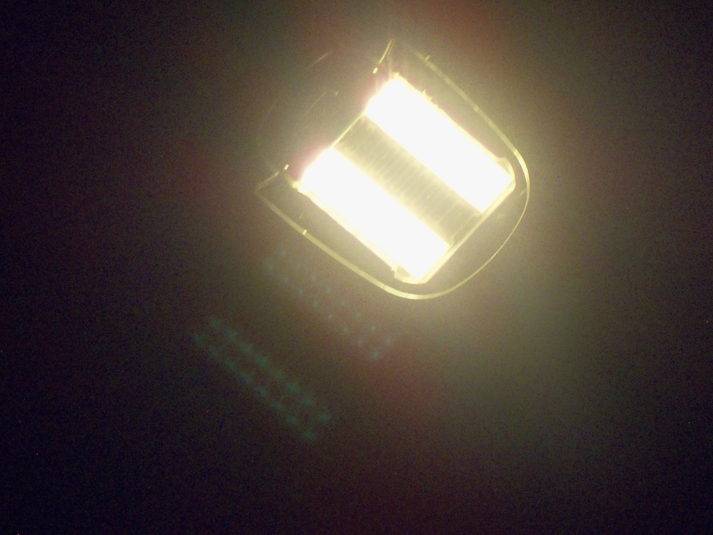100_1157.JPG