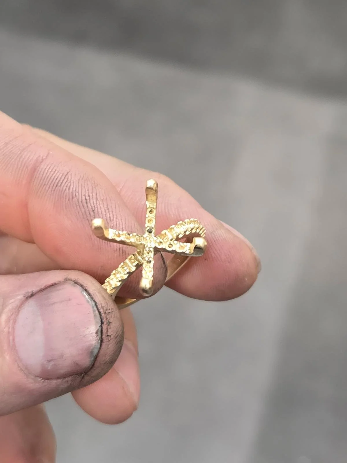 WhatsApp Image 2025-10-14 at 09.56.03.jpeg