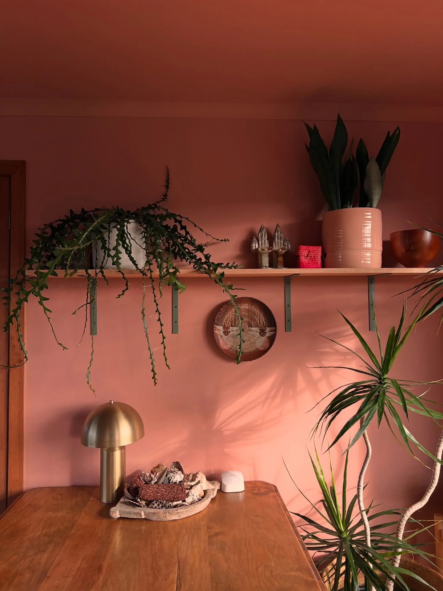 This kitchen table hosted every home cooked dinner of my childhood. My four siblings and I worked at picking every last bit of ageing varnish off the top over the thousands and thousands of hours we sat here as a family. It could tell our whole child