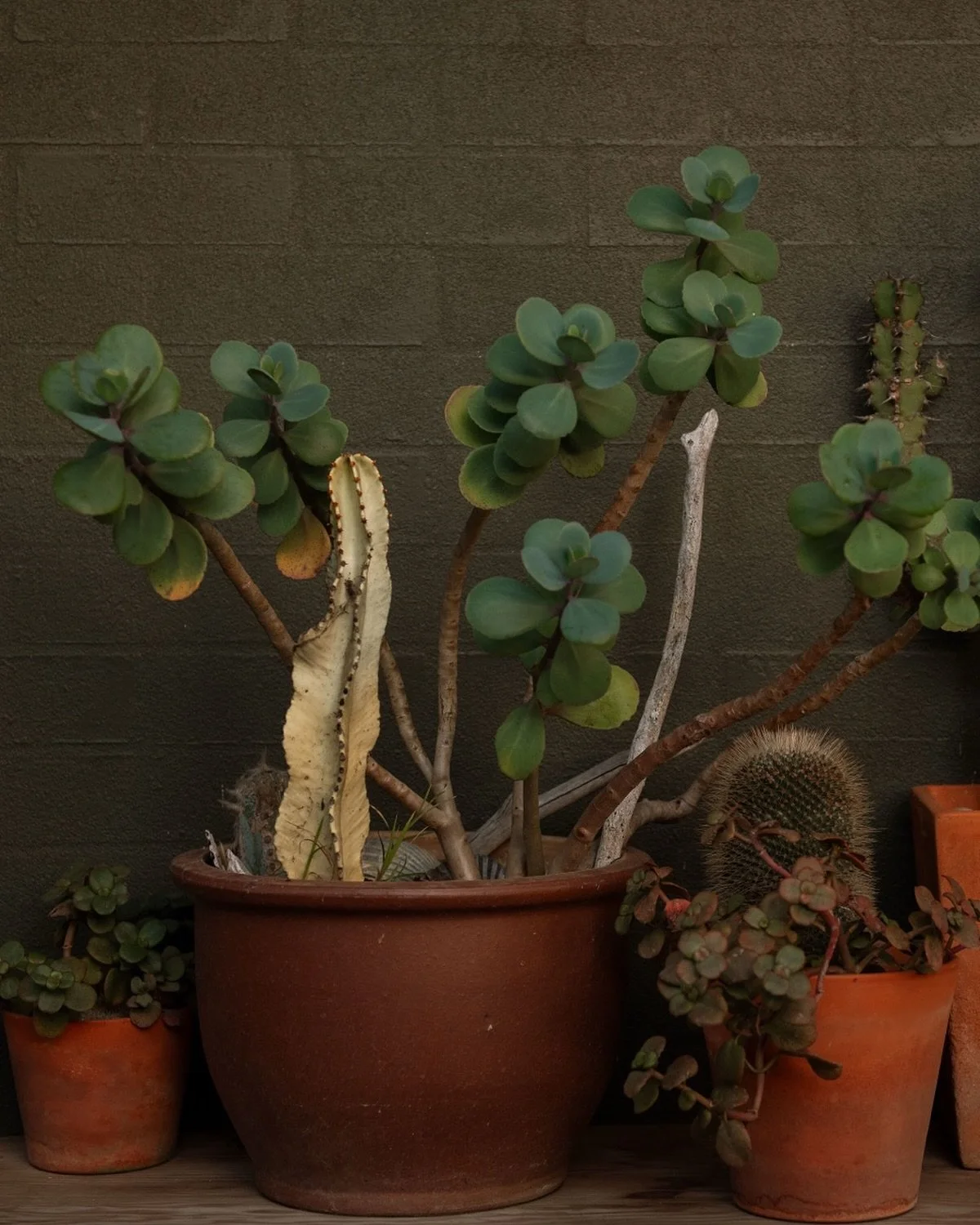 Love + nature = growth 

📷 @everyday_nicky