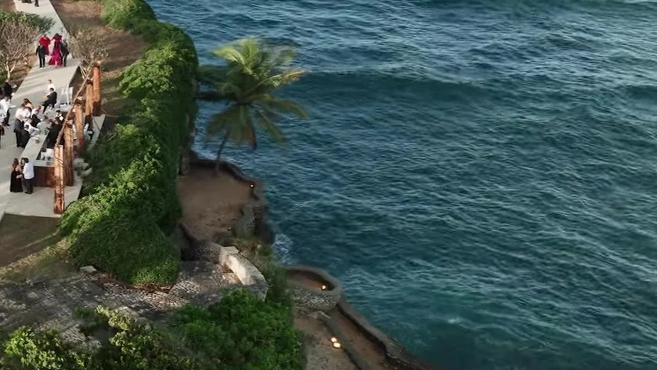 Leaning palm on the cliff, white walkway, and guests above deep blue surf