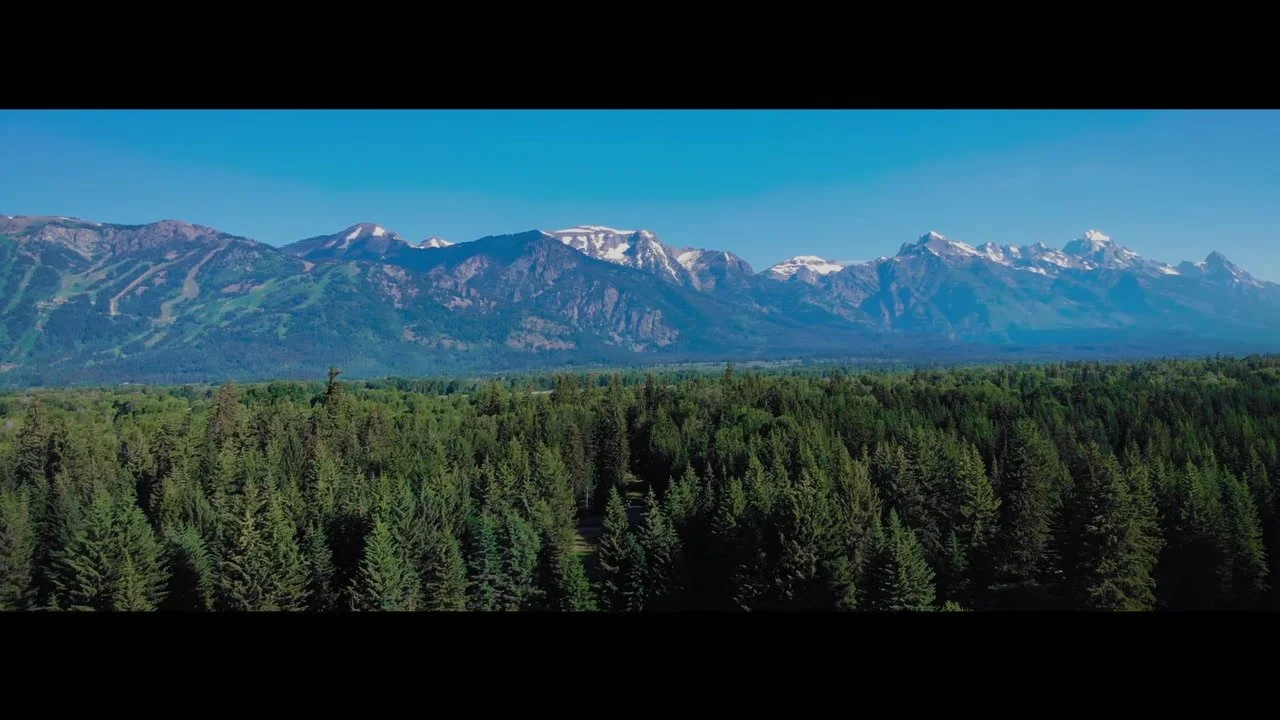 Aerial of dark evergreen forest running toward snow capped Teton peaks under a cyan sky