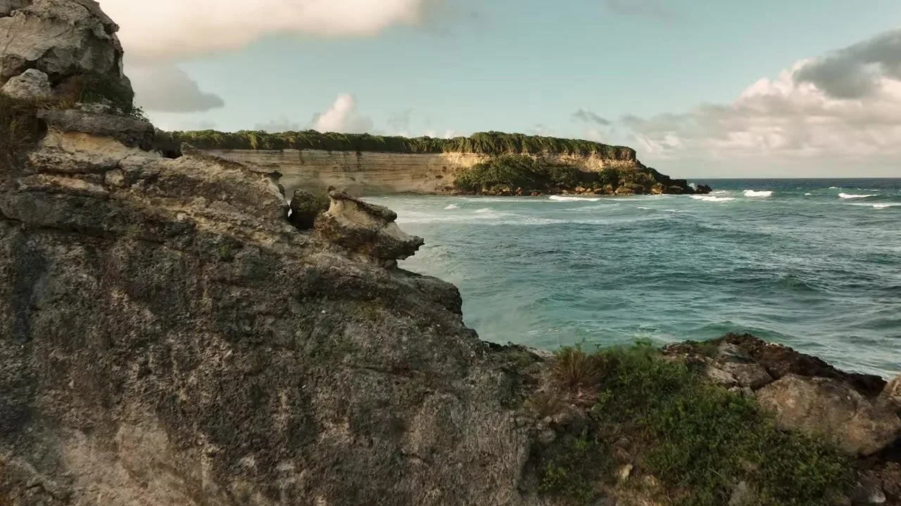 Turquoise water, white surf, and a tan cliff topped with jungle on the Dominican coast