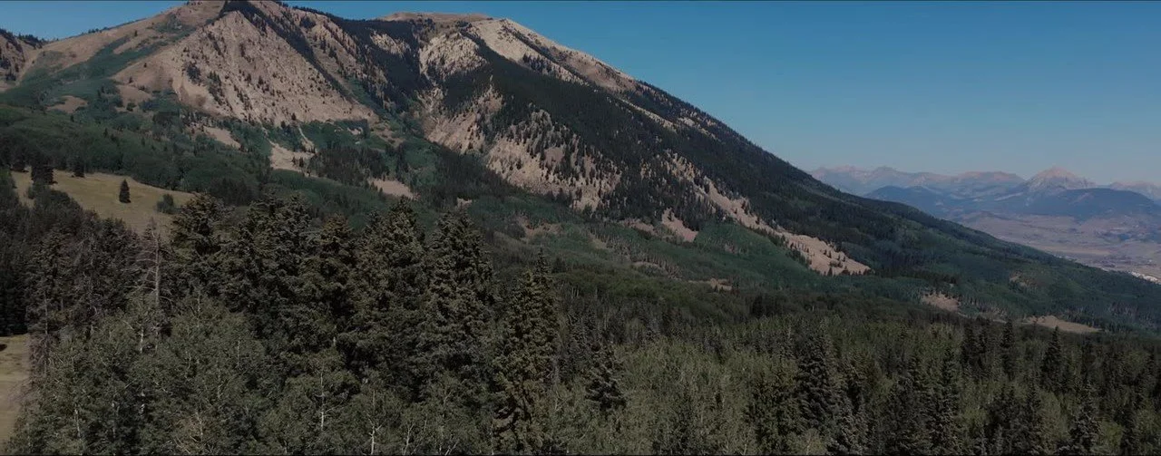 Sunlit Crested Butte mountain slope, forest, and distant blue peaks