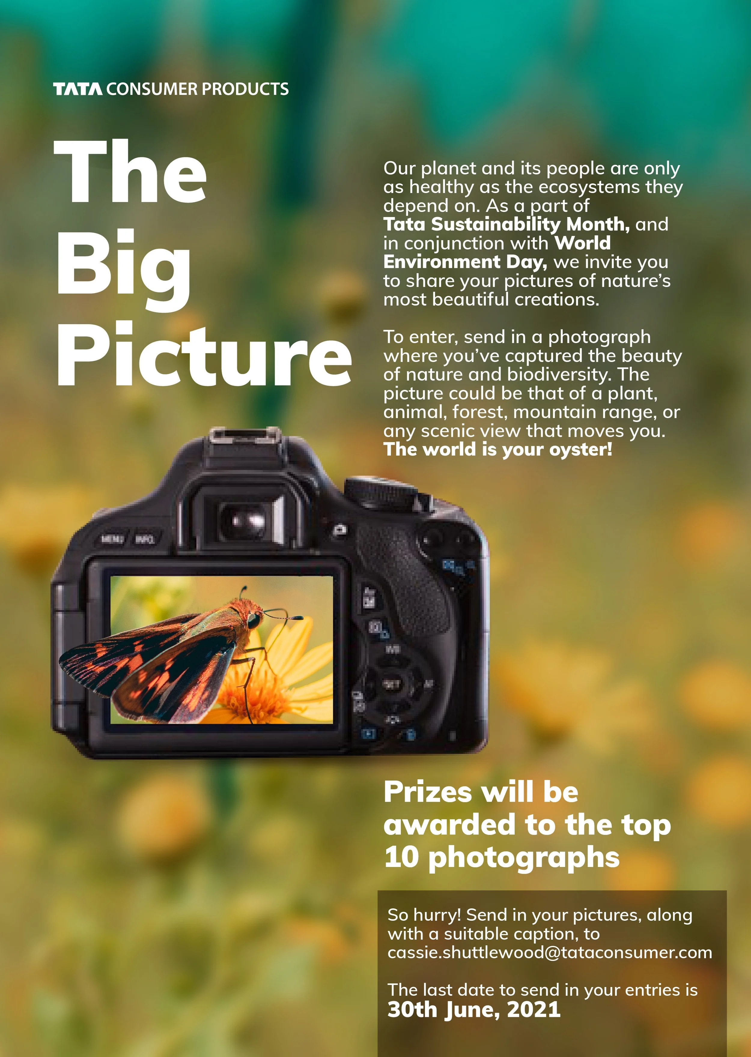 Photography mailer-02.jpg