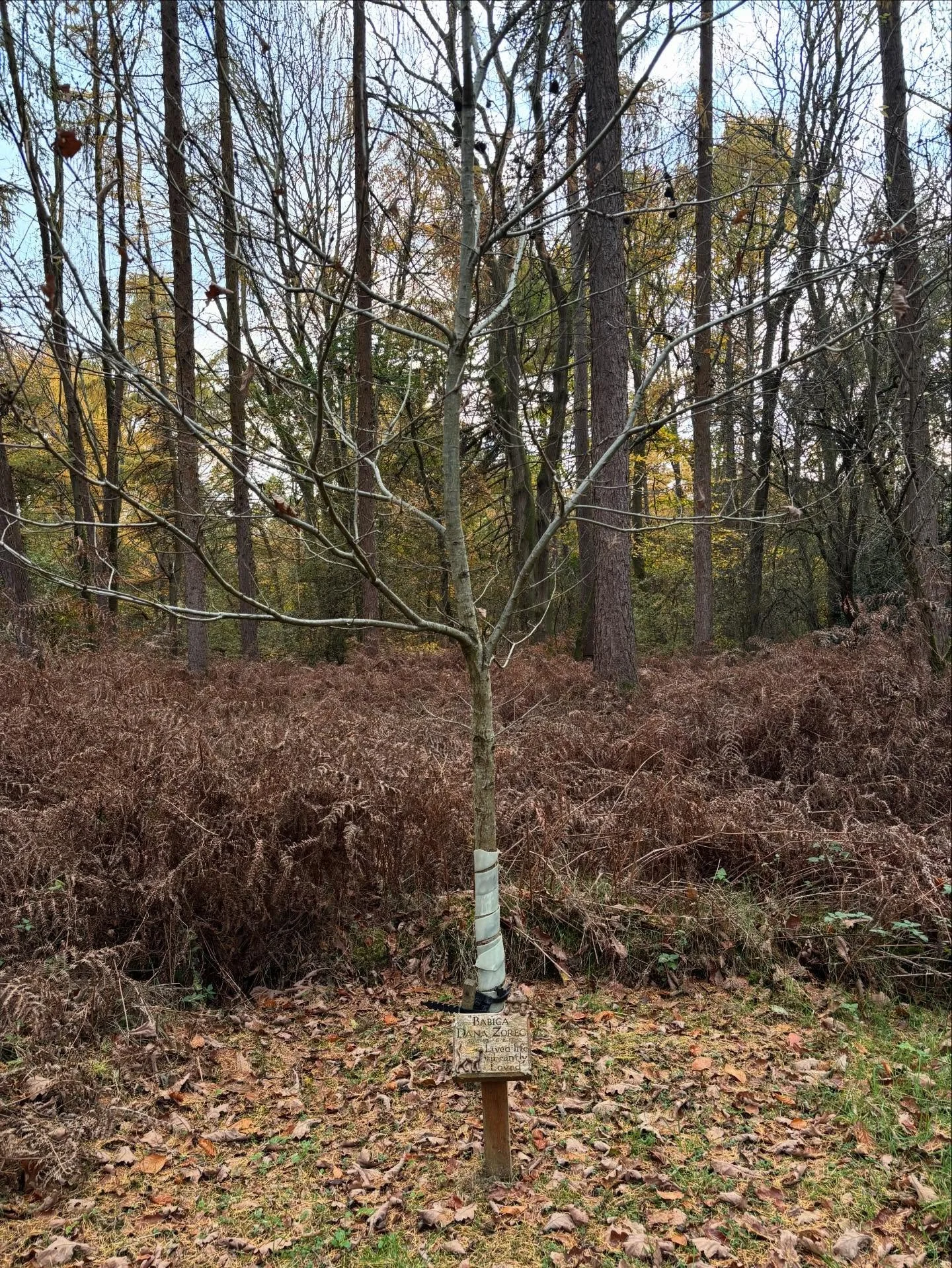 On a recent trip to London, I joined my best friend to visit her mum&rsquo;s final resting place. She&rsquo;s often spoken about how special Greenacres is, and from the moment we arrived, it was easy to see why.

Surrounded by nature, this peaceful f