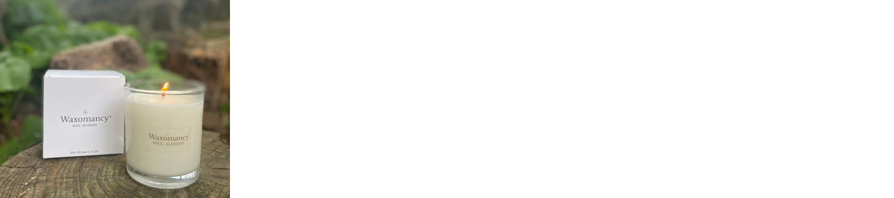 Untitled design (84).png