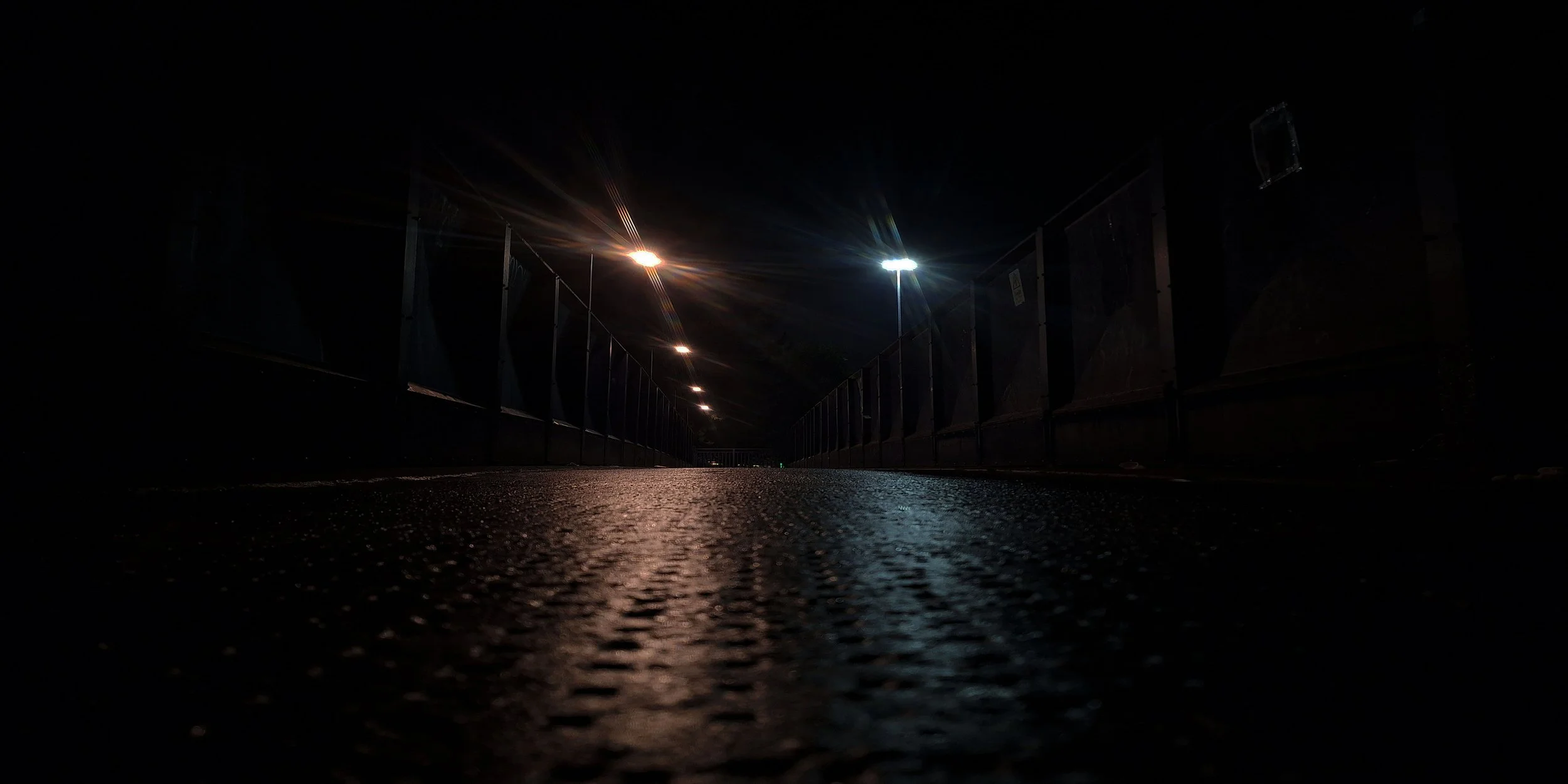 A Rats' Eye View of the World