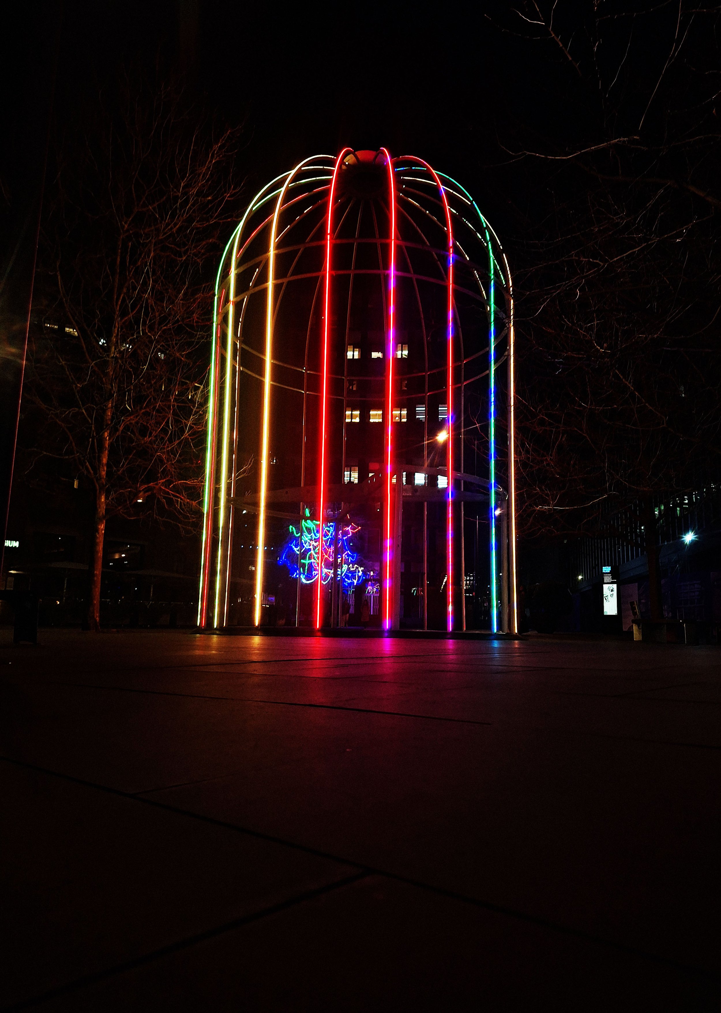 The Effects of Light