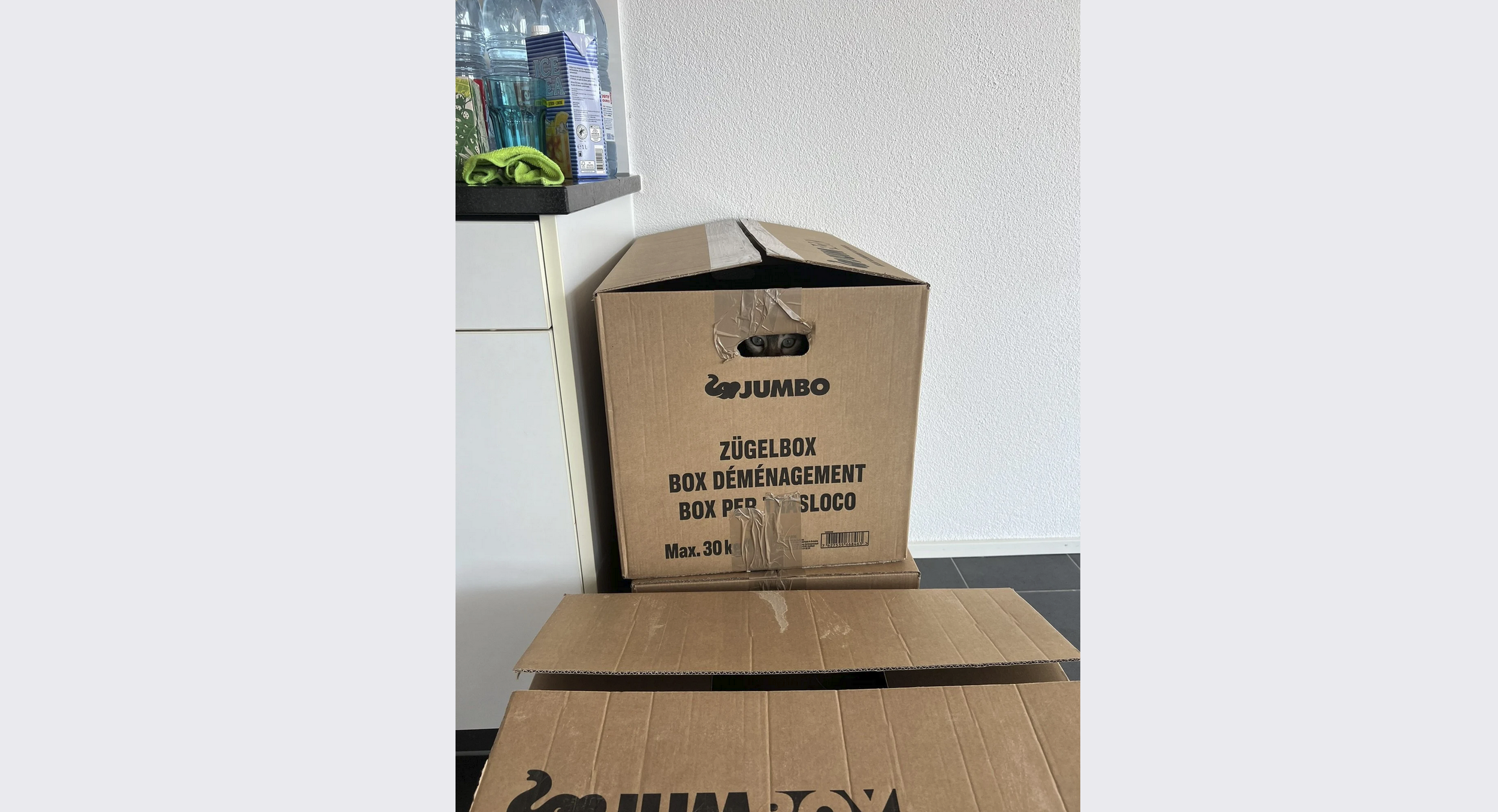 ship’s log 12: packing everything up