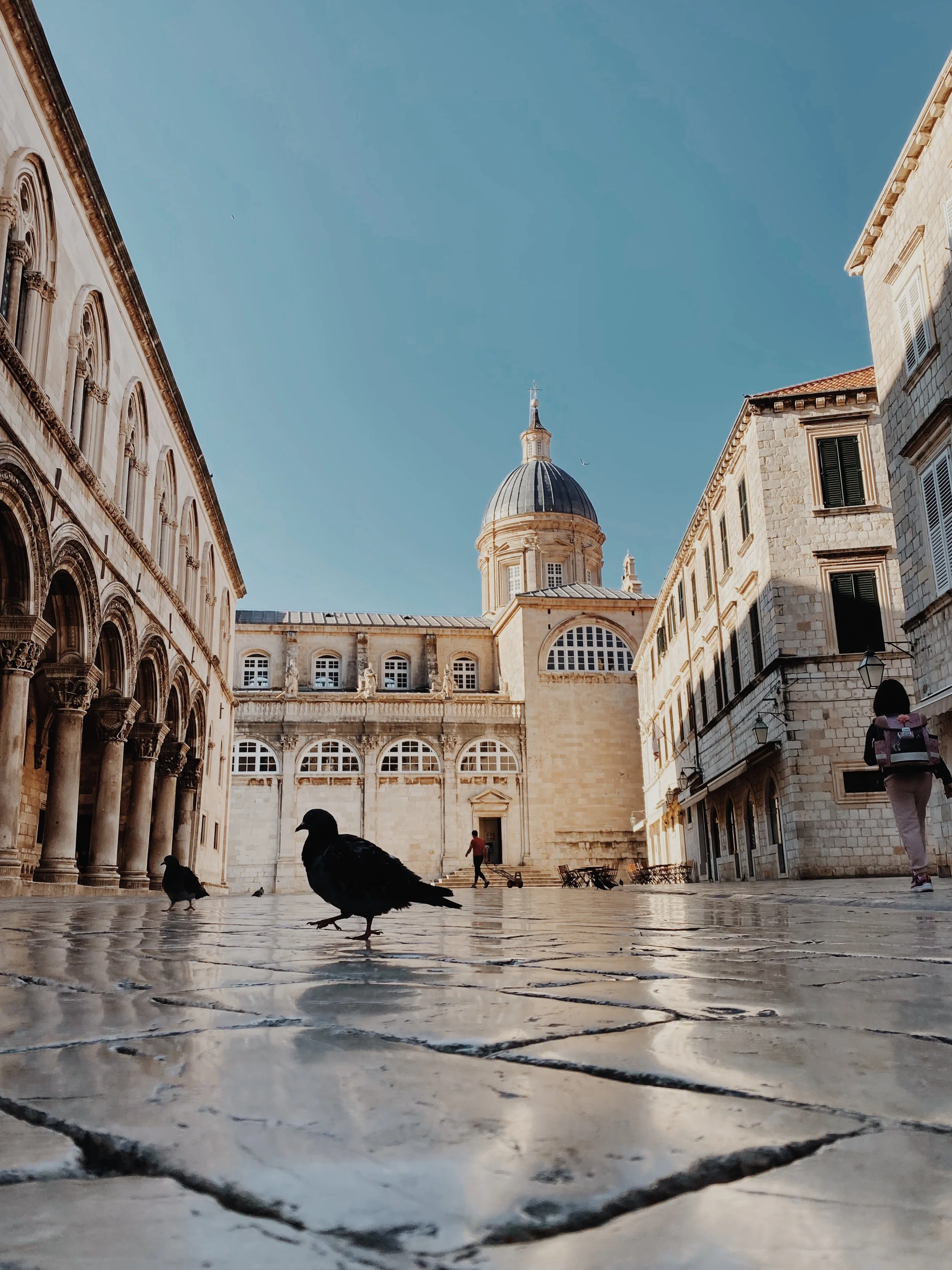 Audit Sample: Dalmatian Coast