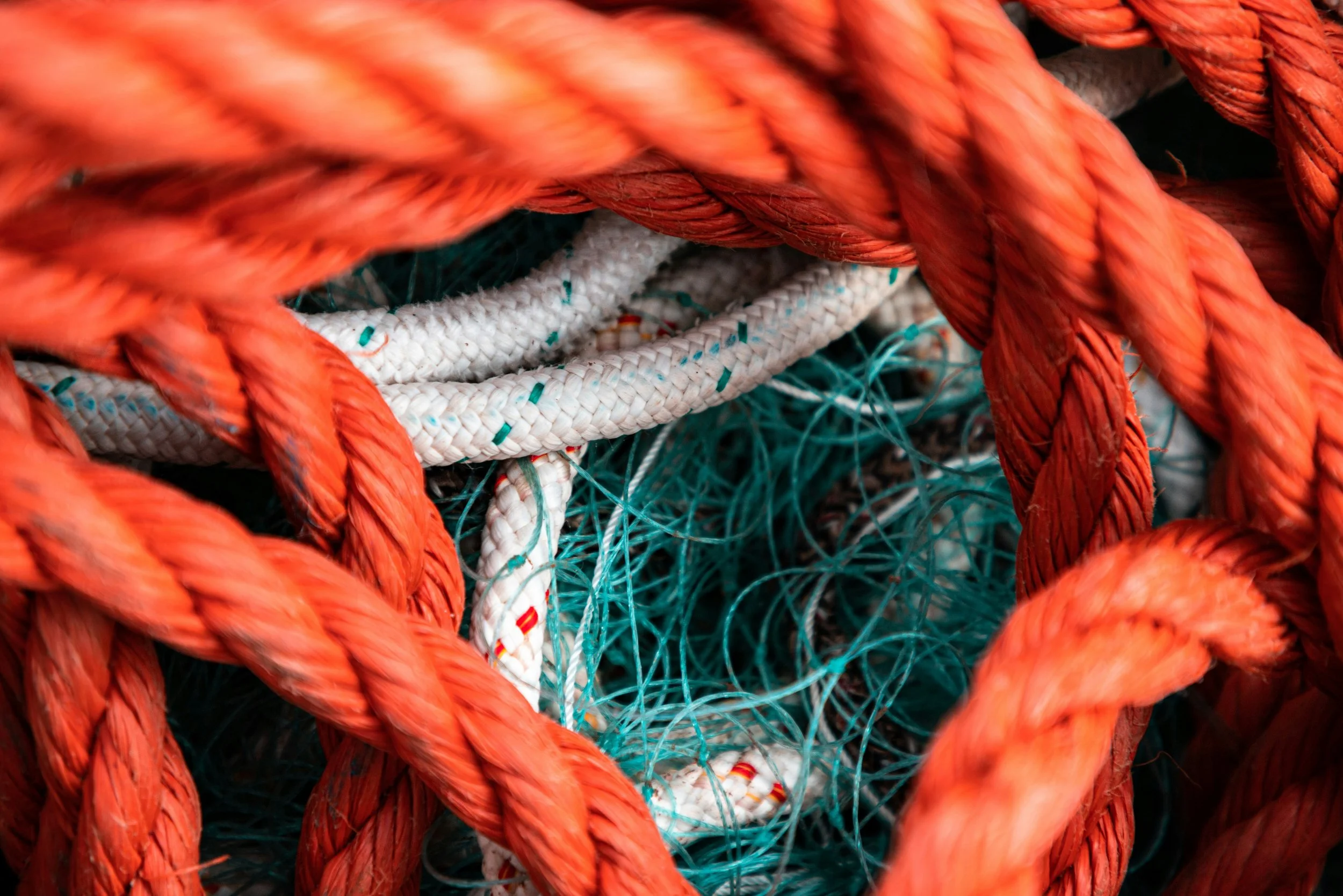 Close-up of intertwined ropes in red, white, and blue colors.