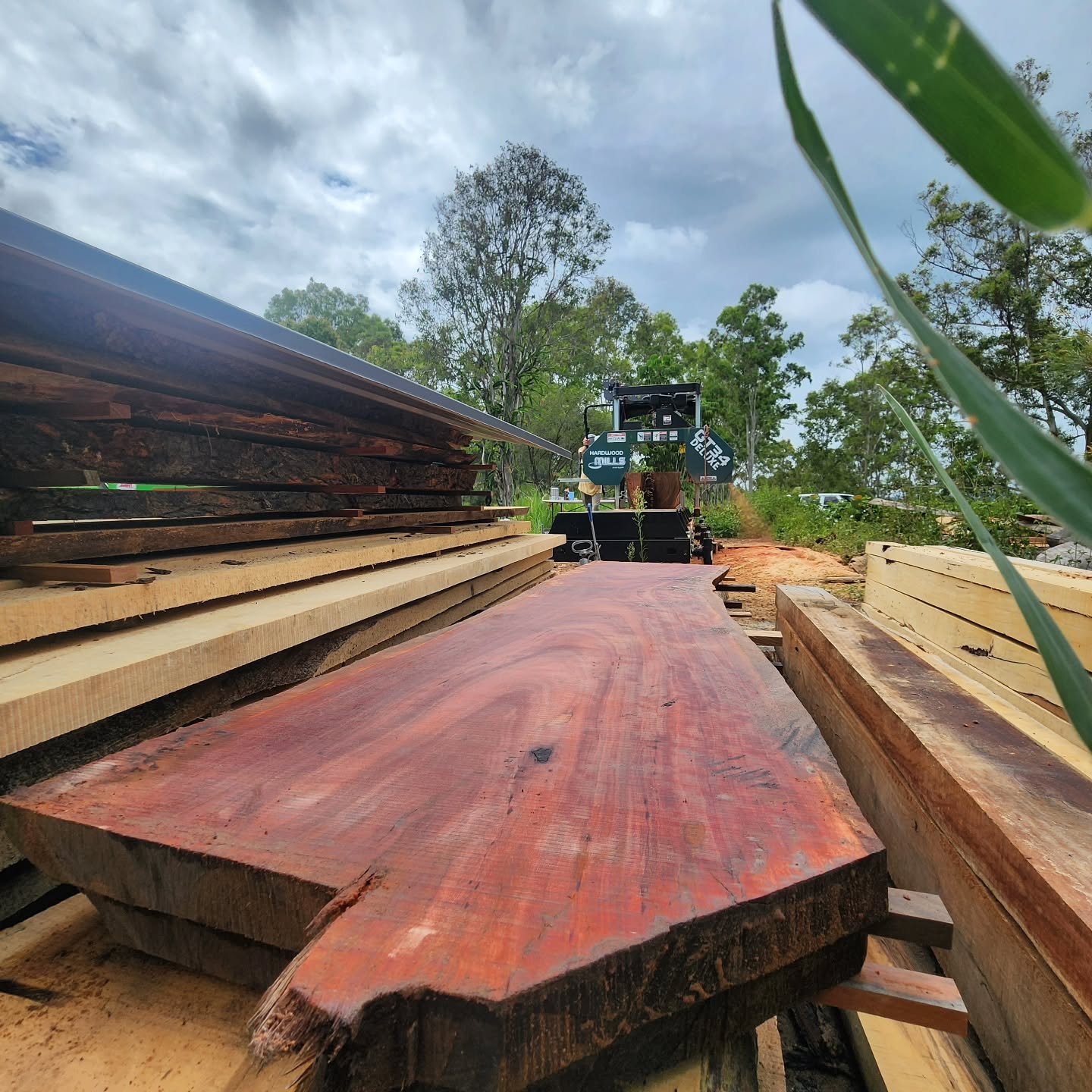 The first cut removed from this salvaged flooded gum log made us stop the machine to admire the beauty hidden inside. The surprises only got better as we made our way through the slabs.
#australiantimber #hardwoodmills #bandsawmill #salvaged #arboris